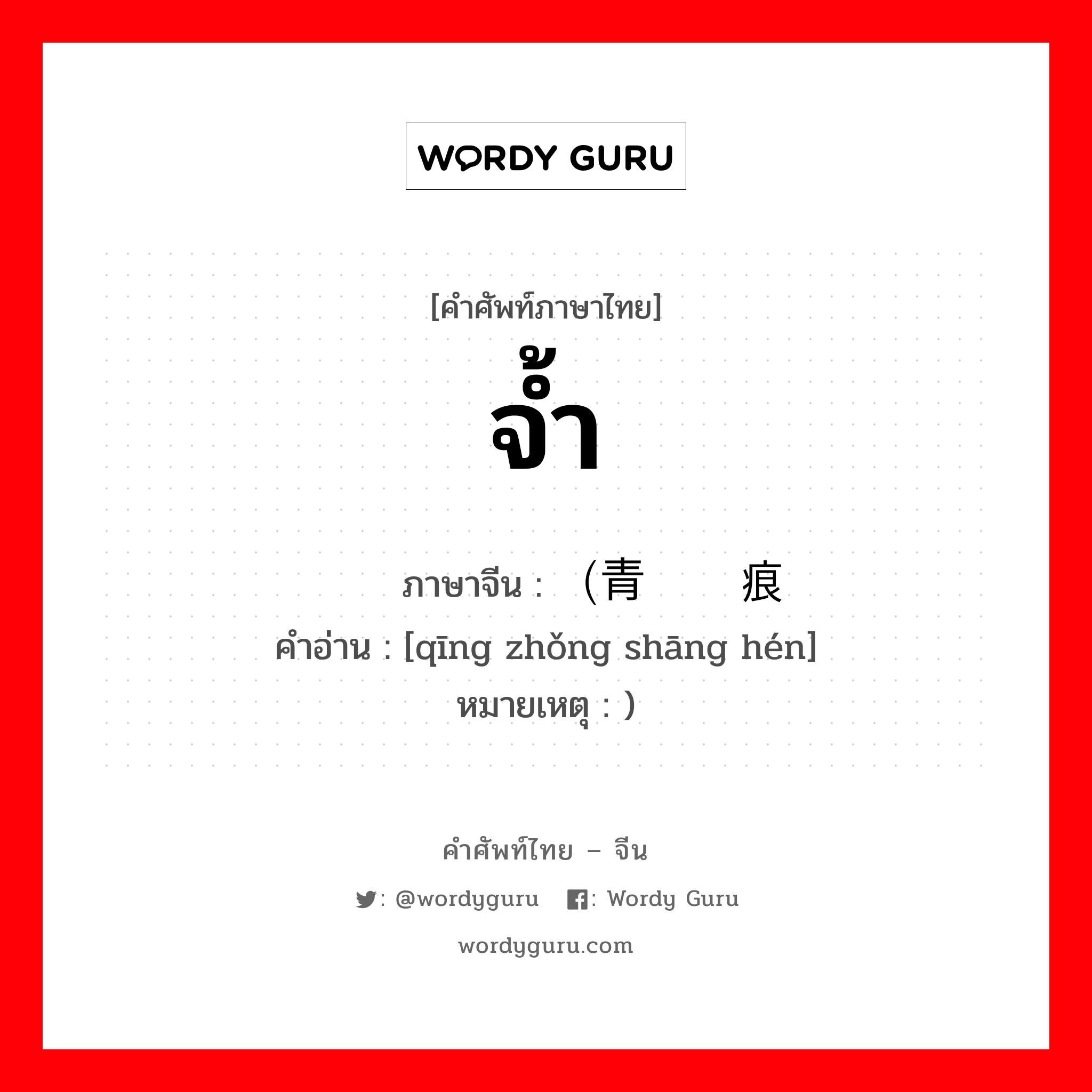 จ้ำ ภาษาจีนคืออะไร, คำศัพท์ภาษาไทย - จีน จ้ำ ภาษาจีน （青肿伤痕 คำอ่าน [qīng zhǒng shāng hén] หมายเหตุ )