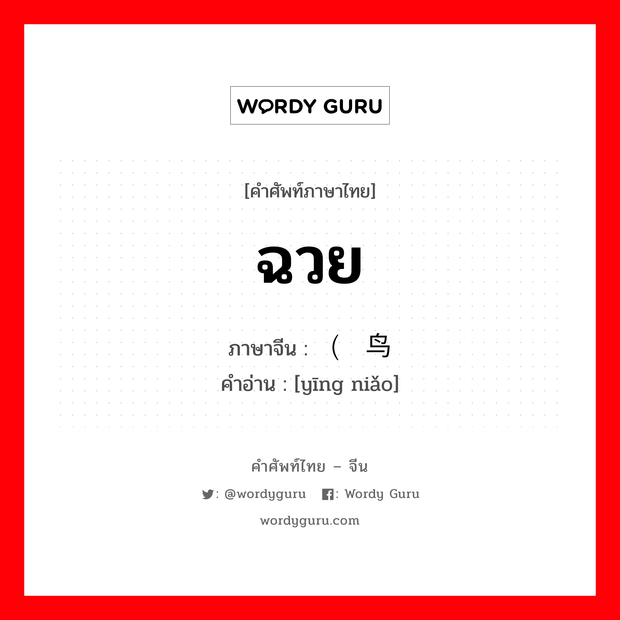 ฉวย ภาษาจีนคืออะไร, คำศัพท์ภาษาไทย - จีน ฉวย ภาษาจีน （鹰鸟 คำอ่าน [yīng niǎo]