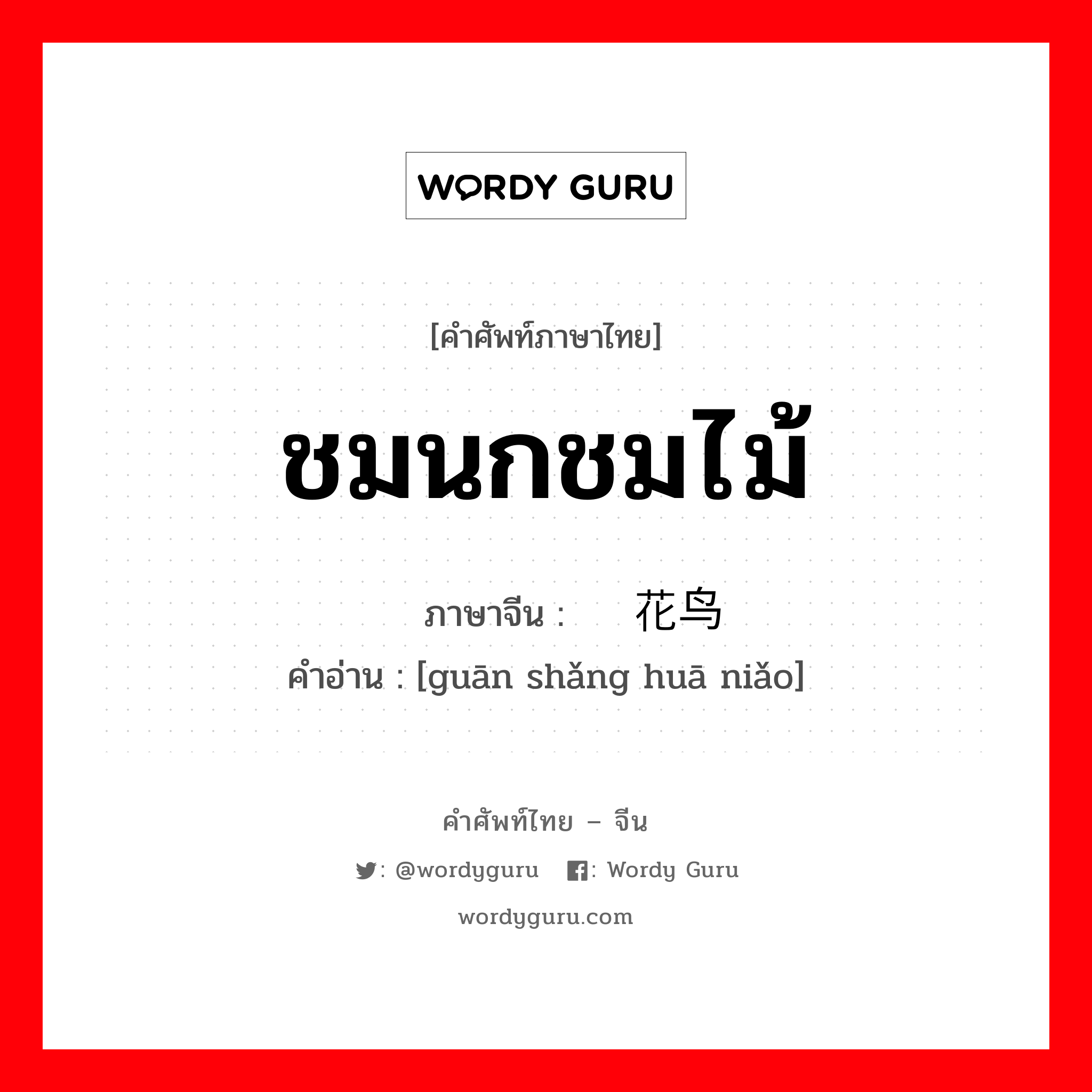 ชมนกชมไม้ ภาษาจีนคืออะไร, คำศัพท์ภาษาไทย - จีน ชมนกชมไม้ ภาษาจีน 观赏花鸟 คำอ่าน [guān shǎng huā niǎo]