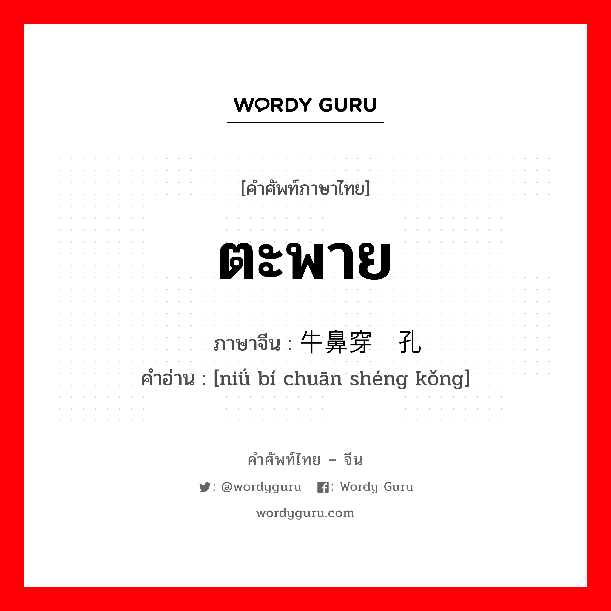 ตะพาย ภาษาจีนคืออะไร, คำศัพท์ภาษาไทย - จีน ตะพาย ภาษาจีน 牛鼻穿绳孔 คำอ่าน [niǘ bí chuān shéng kǒng]