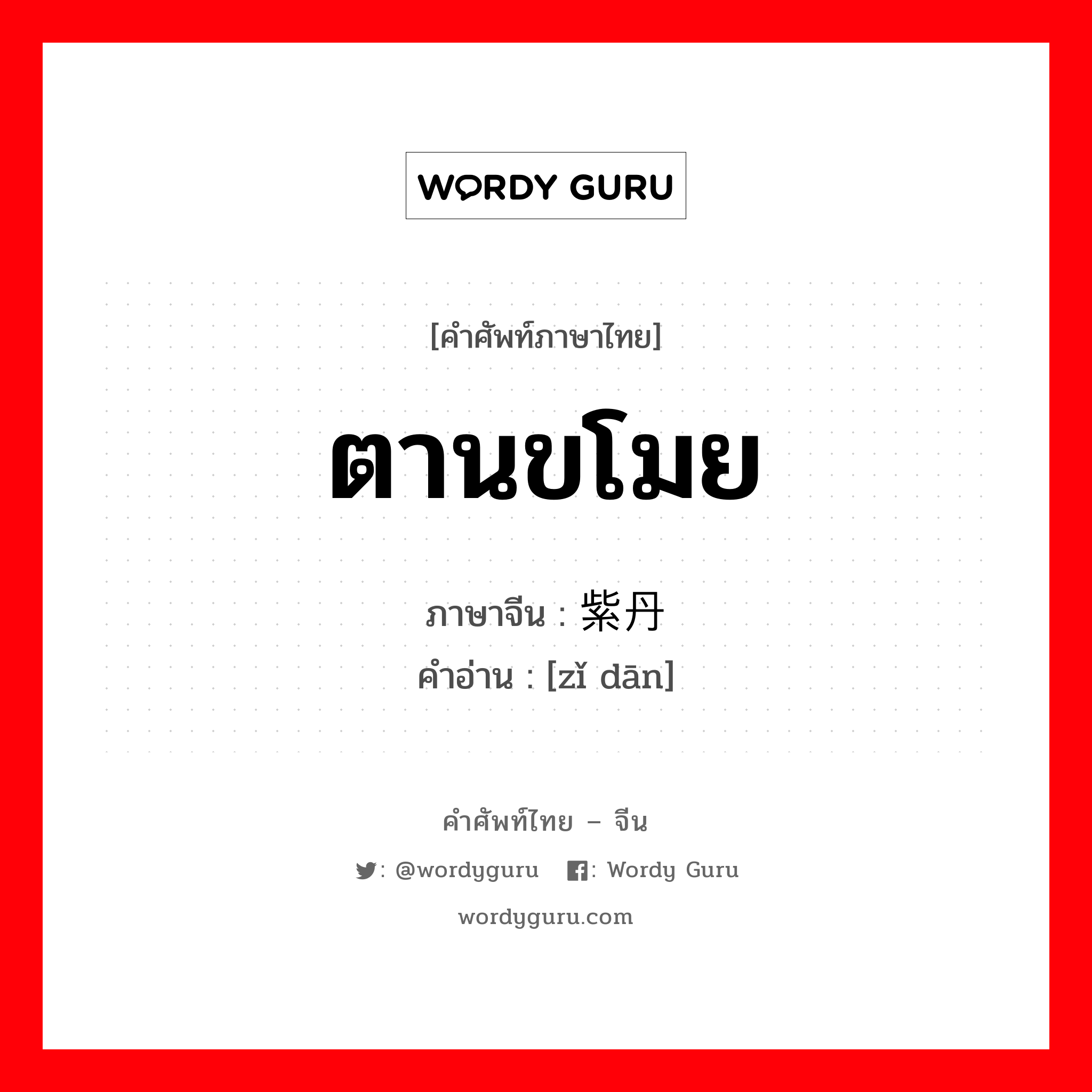 ตานขโมย ภาษาจีนคืออะไร, คำศัพท์ภาษาไทย - จีน ตานขโมย ภาษาจีน 紫丹 คำอ่าน [zǐ dān]