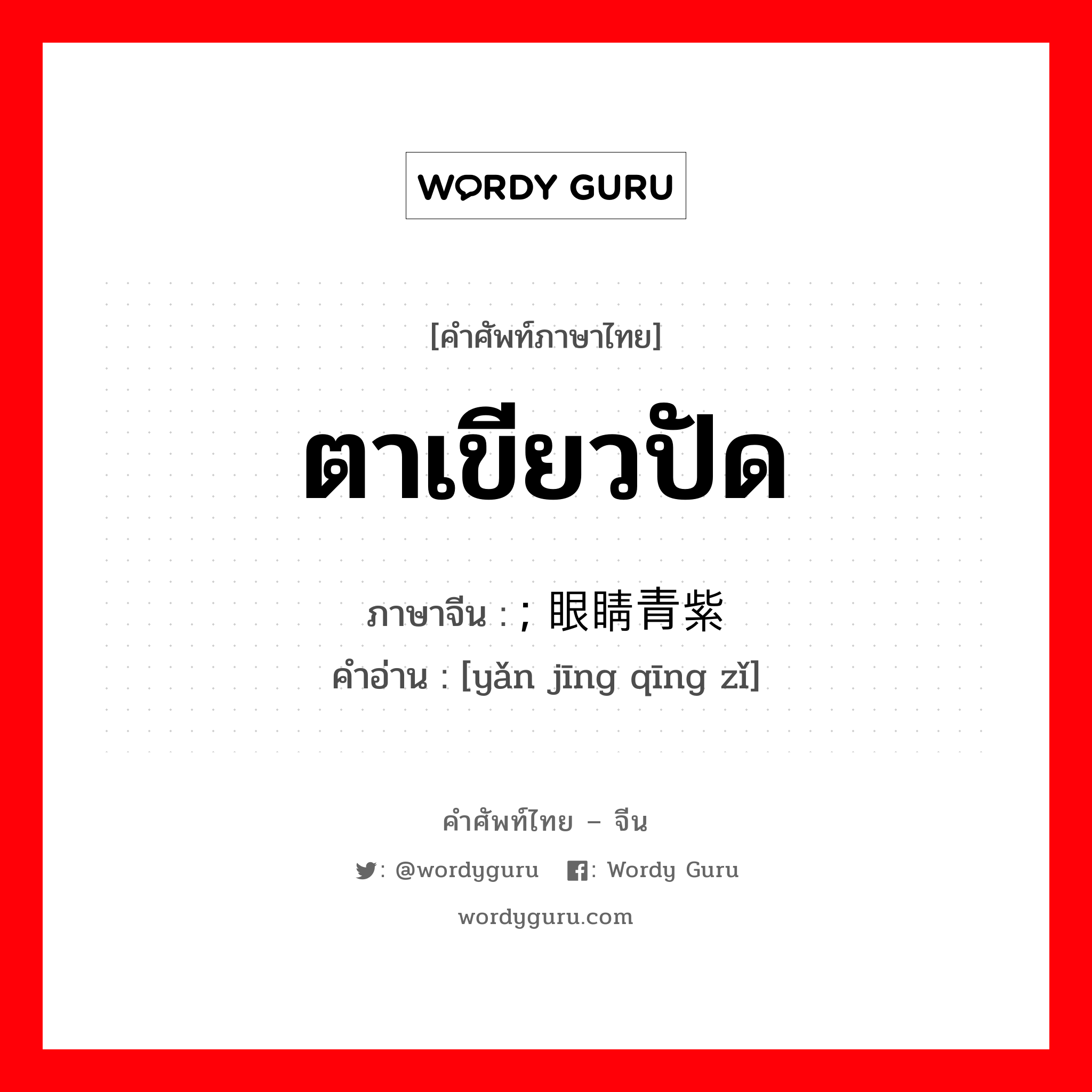 ตาเขียวปัด ภาษาจีนคืออะไร, คำศัพท์ภาษาไทย - จีน ตาเขียวปัด ภาษาจีน ; 眼睛青紫 คำอ่าน [yǎn jīng qīng zǐ]