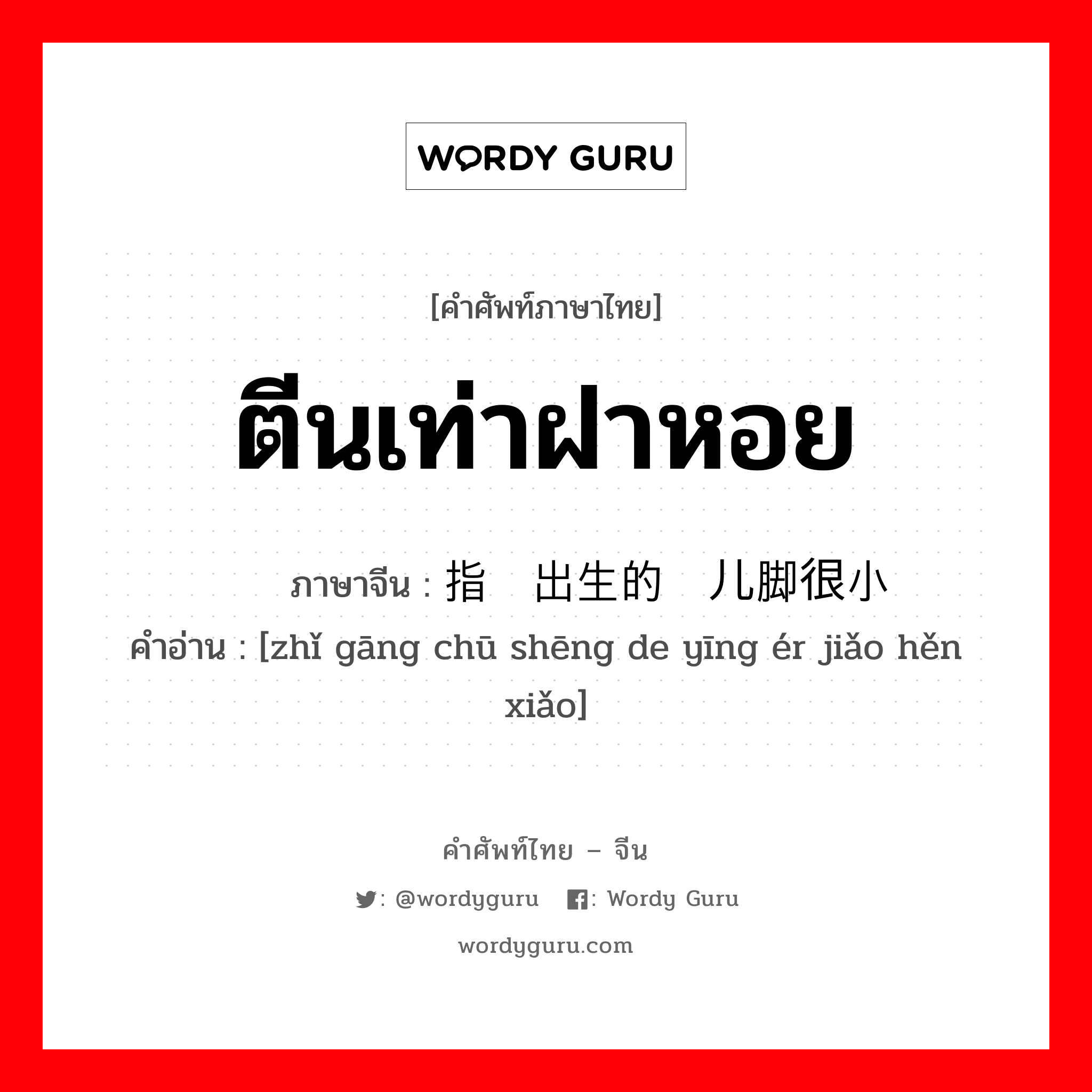 ตีนเท่าฝาหอย ภาษาจีนคืออะไร, คำศัพท์ภาษาไทย - จีน ตีนเท่าฝาหอย ภาษาจีน 指刚出生的婴儿脚很小 คำอ่าน [zhǐ gāng chū shēng de yīng ér jiǎo hěn xiǎo]