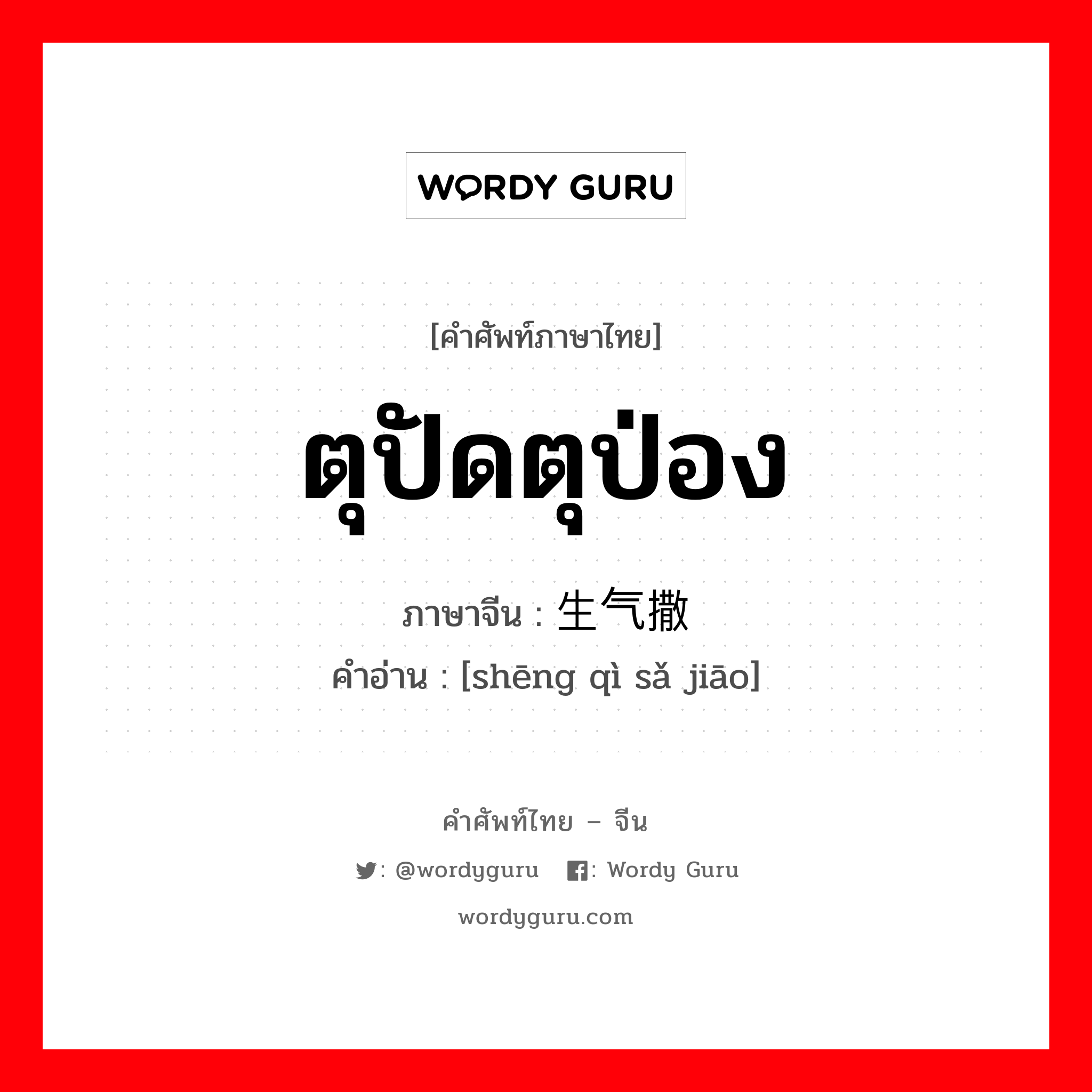 ตุปัดตุป่อง ภาษาจีนคืออะไร, คำศัพท์ภาษาไทย - จีน ตุปัดตุป่อง ภาษาจีน 生气撒娇 คำอ่าน [shēng qì sǎ jiāo]