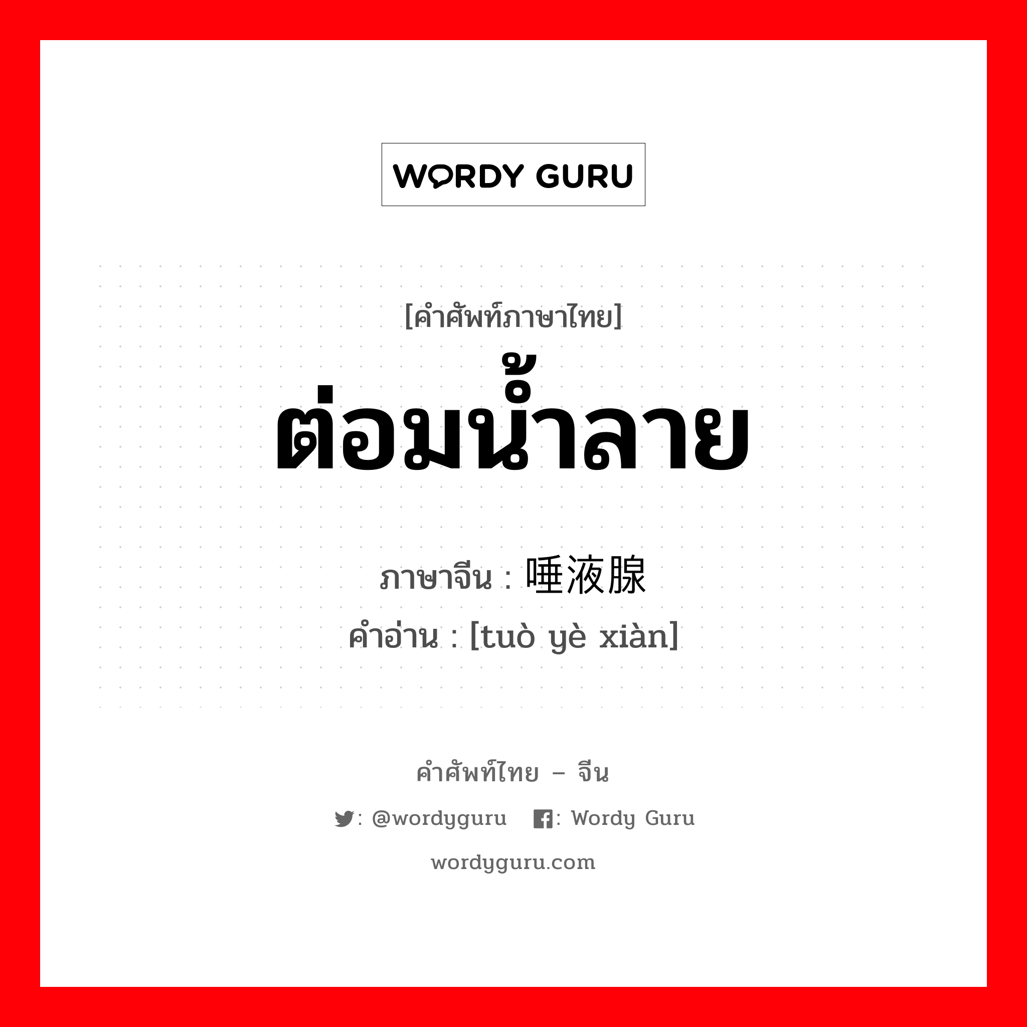 ต่อมน้ำลาย ภาษาจีนคืออะไร, คำศัพท์ภาษาไทย - จีน ต่อมน้ำลาย ภาษาจีน 唾液腺 คำอ่าน [tuò yè xiàn]