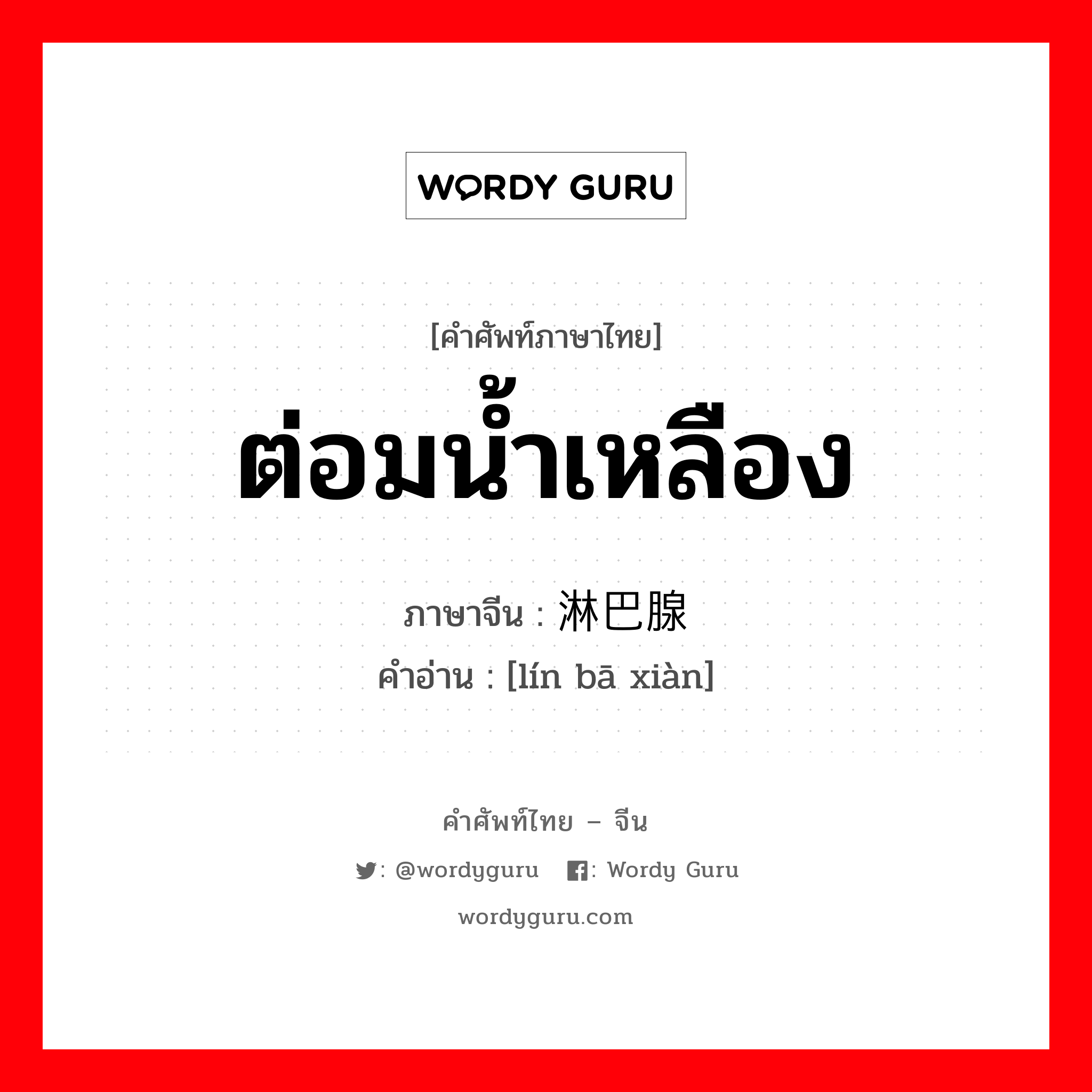 ต่อมน้ำเหลือง ภาษาจีนคืออะไร, คำศัพท์ภาษาไทย - จีน ต่อมน้ำเหลือง ภาษาจีน 淋巴腺 คำอ่าน [lín bā xiàn]