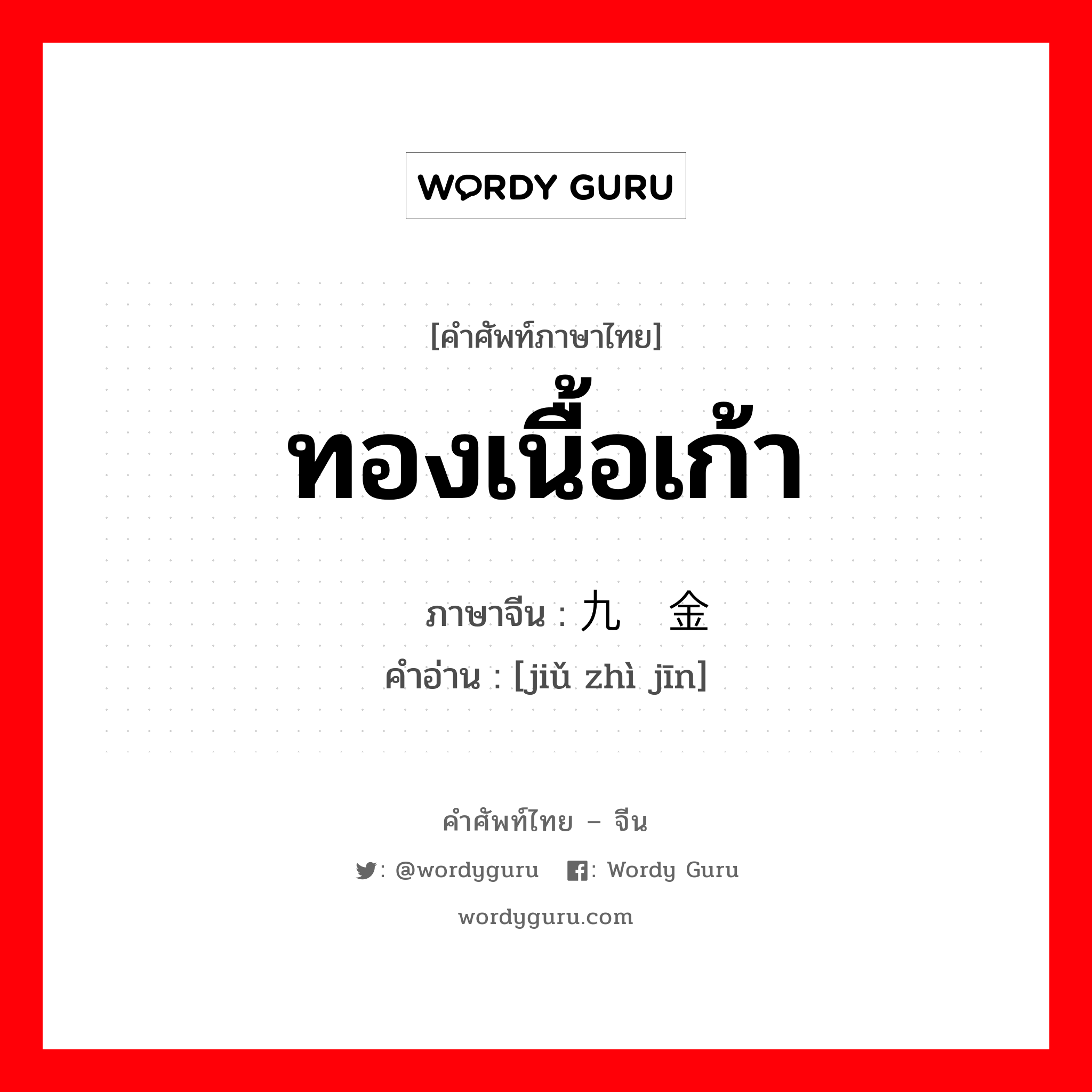 ทองเนื้อเก้า ภาษาจีนคืออะไร, คำศัพท์ภาษาไทย - จีน ทองเนื้อเก้า ภาษาจีน 九质金 คำอ่าน [jiǔ zhì jīn]