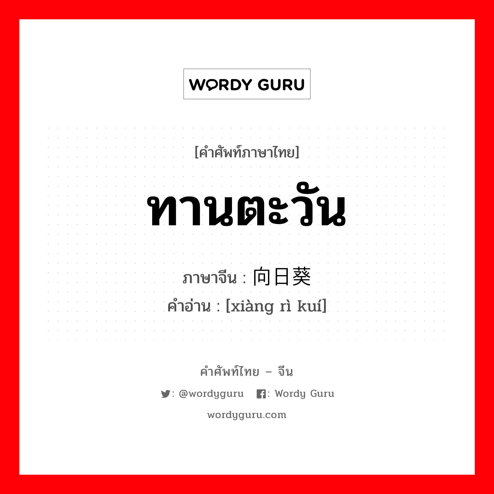 ทานตะวัน ภาษาจีนคืออะไร, คำศัพท์ภาษาไทย - จีน ทานตะวัน ภาษาจีน 向日葵 คำอ่าน [xiàng rì kuí]