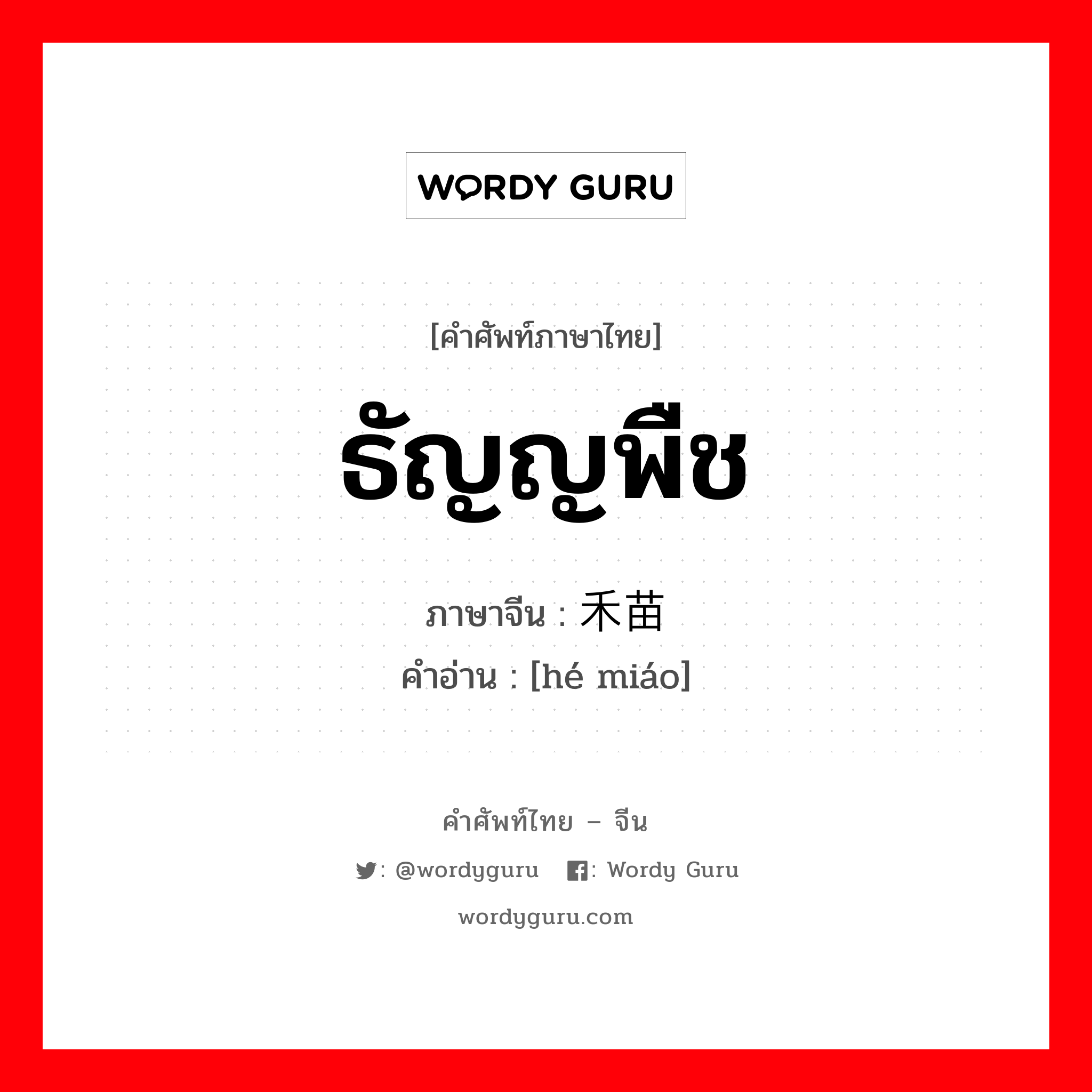 ธัญญพืช ภาษาจีนคืออะไร, คำศัพท์ภาษาไทย - จีน ธัญญพืช ภาษาจีน 禾苗 คำอ่าน [hé miáo]