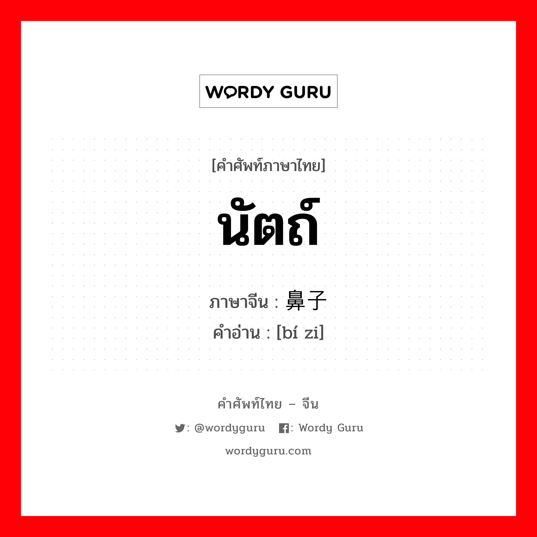 นัตถ์ ภาษาจีนคืออะไร, คำศัพท์ภาษาไทย - จีน นัตถ์ ภาษาจีน 鼻子 คำอ่าน [bí zi]