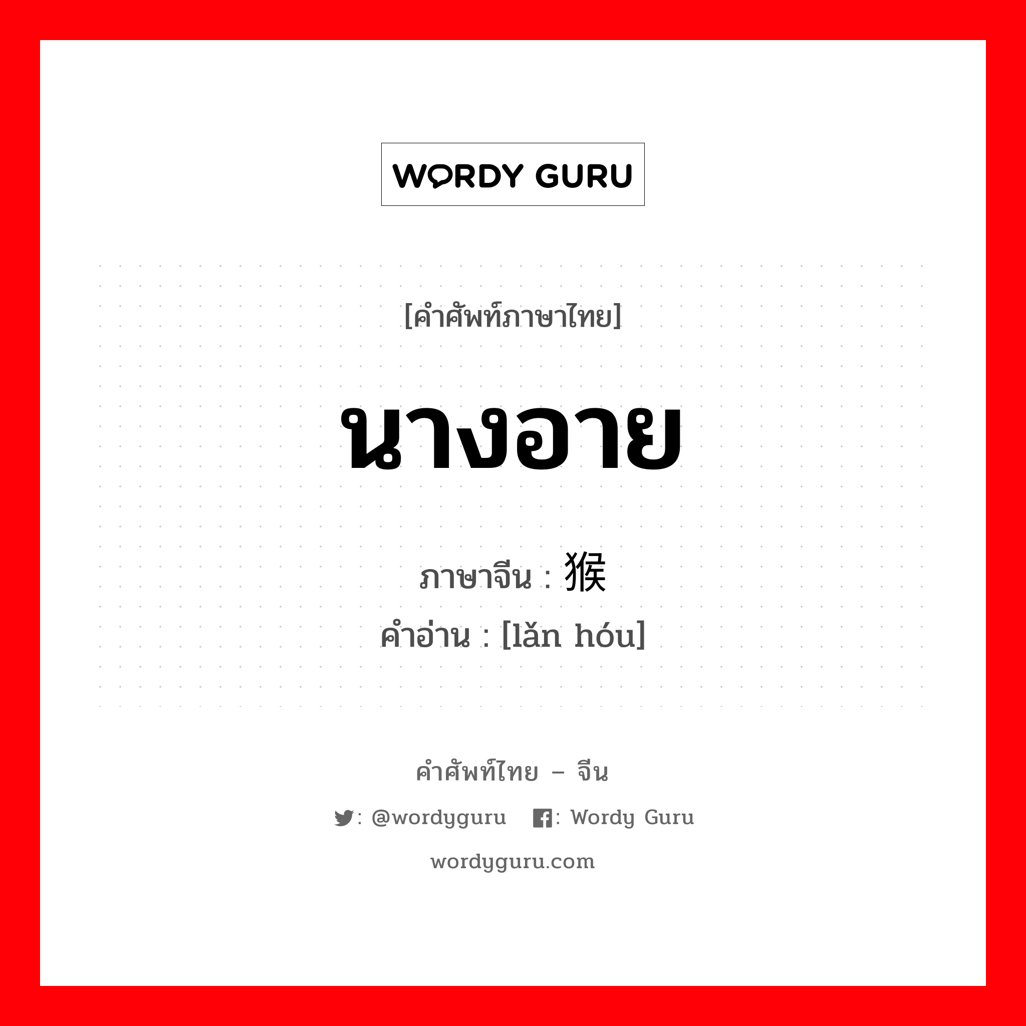 นางอาย ภาษาจีนคืออะไร, คำศัพท์ภาษาไทย - จีน นางอาย ภาษาจีน 懒猴 คำอ่าน [lǎn hóu]