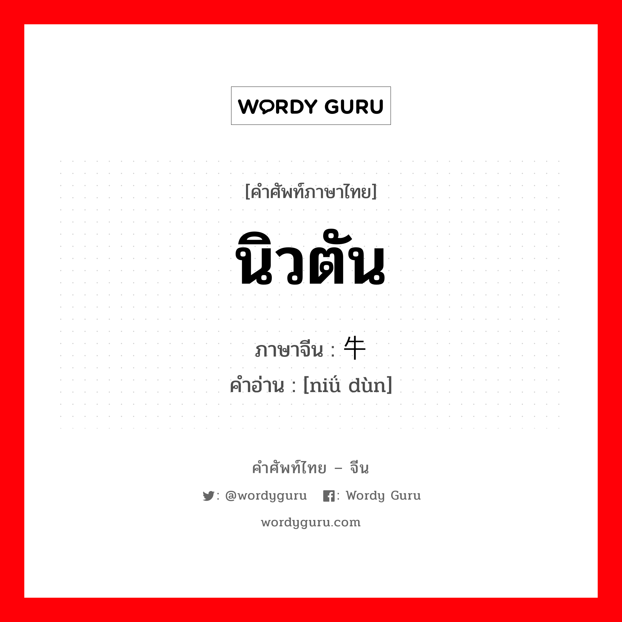 นิวตัน ภาษาจีนคืออะไร, คำศัพท์ภาษาไทย - จีน นิวตัน ภาษาจีน 牛顿 คำอ่าน [niǘ dùn]