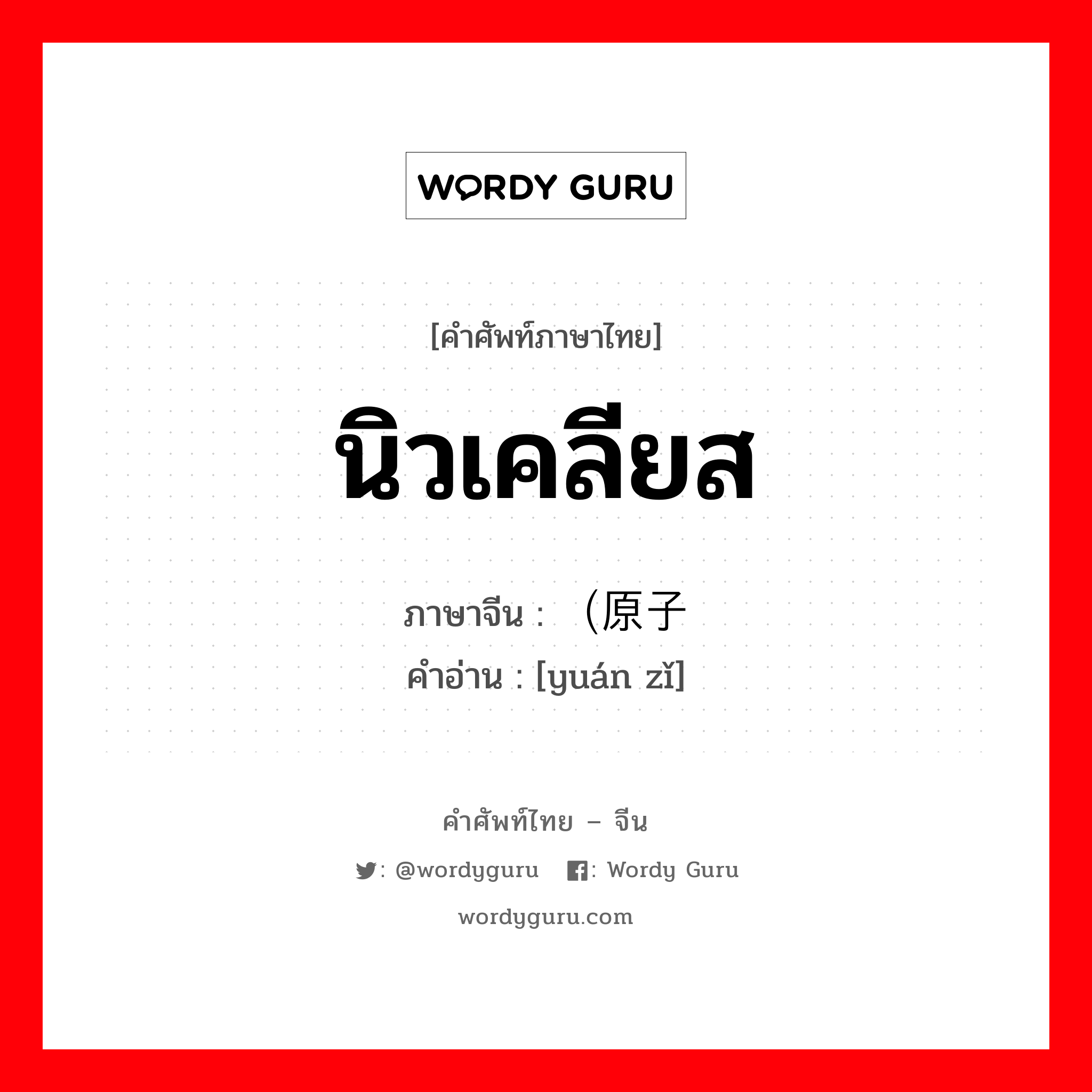 นิวเคลียส ภาษาจีนคืออะไร, คำศัพท์ภาษาไทย - จีน นิวเคลียส ภาษาจีน （原子 คำอ่าน [yuán zǐ]