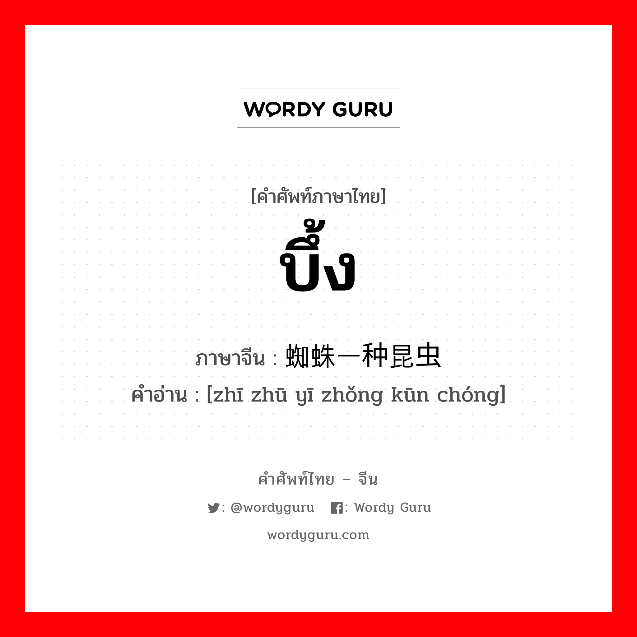 บึ้ง ภาษาจีนคืออะไร, คำศัพท์ภาษาไทย - จีน บึ้ง ภาษาจีน 蜘蛛一种昆虫 คำอ่าน [zhī zhū yī zhǒng kūn chóng]