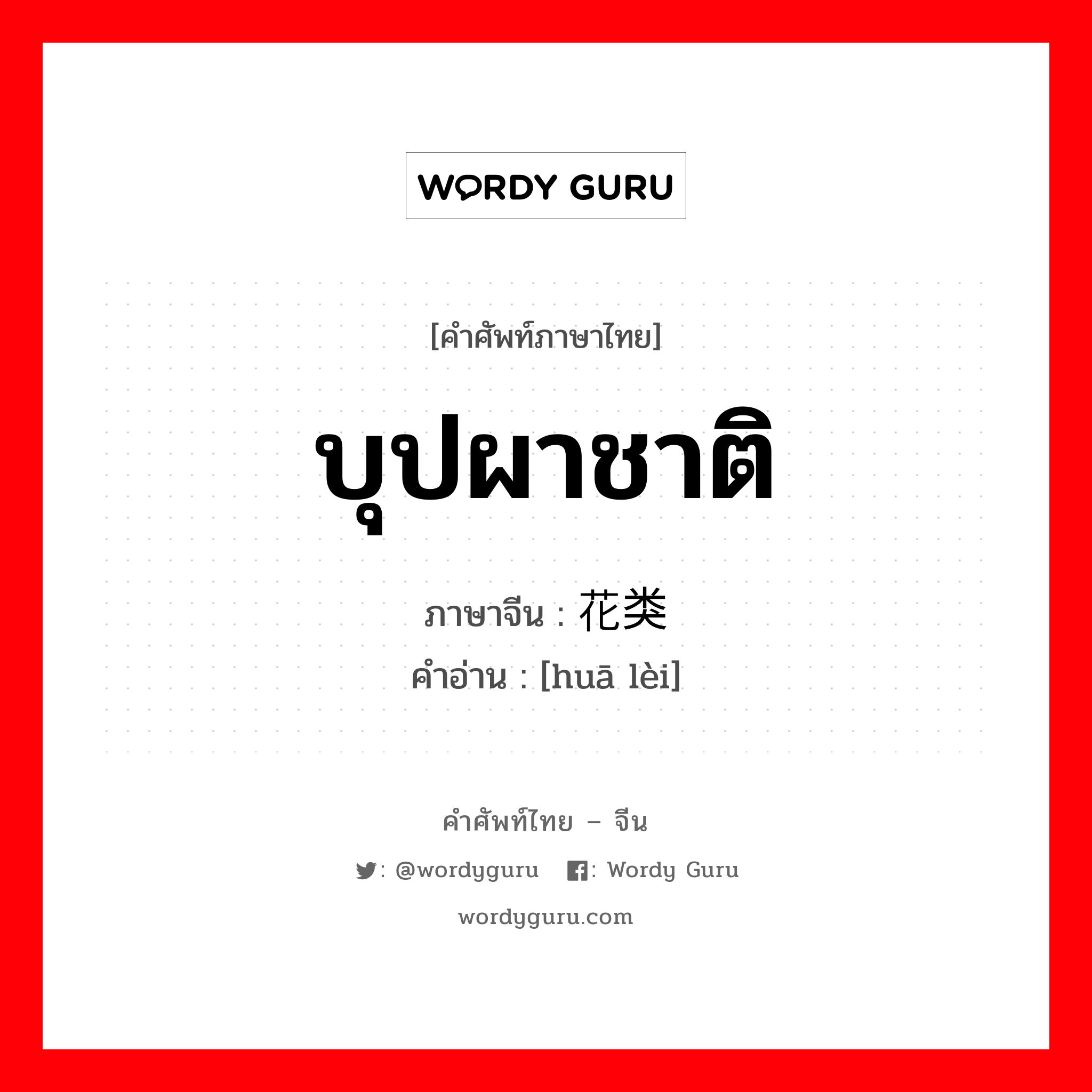 บุปผาชาติ ภาษาจีนคืออะไร, คำศัพท์ภาษาไทย - จีน บุปผาชาติ ภาษาจีน 花类 คำอ่าน [huā lèi]