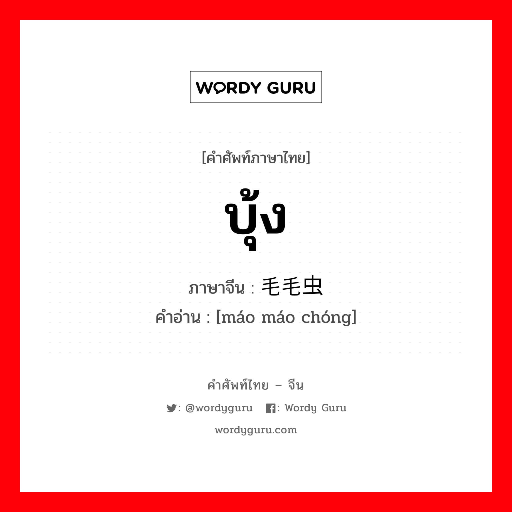 บุ้ง ภาษาจีนคืออะไร, คำศัพท์ภาษาไทย - จีน บุ้ง ภาษาจีน 毛毛虫 คำอ่าน [máo máo chóng]