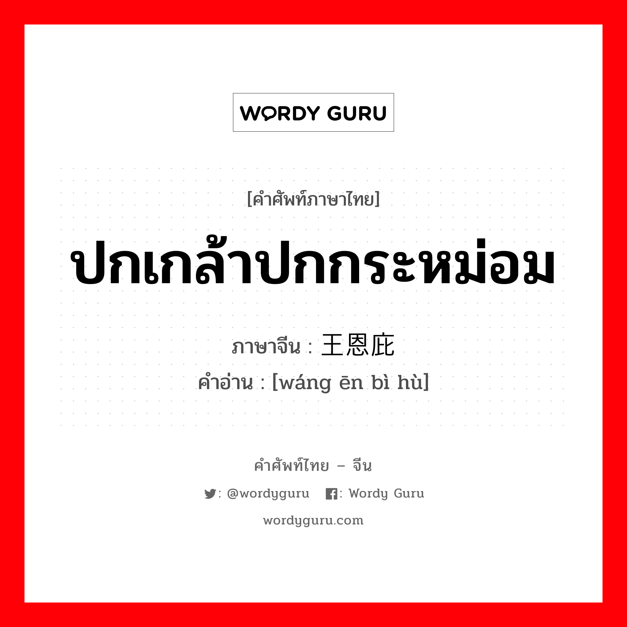 ปกเกล้าปกกระหม่อม ภาษาจีนคืออะไร, คำศัพท์ภาษาไทย - จีน ปกเกล้าปกกระหม่อม ภาษาจีน 王恩庇护 คำอ่าน [wáng ēn bì hù]