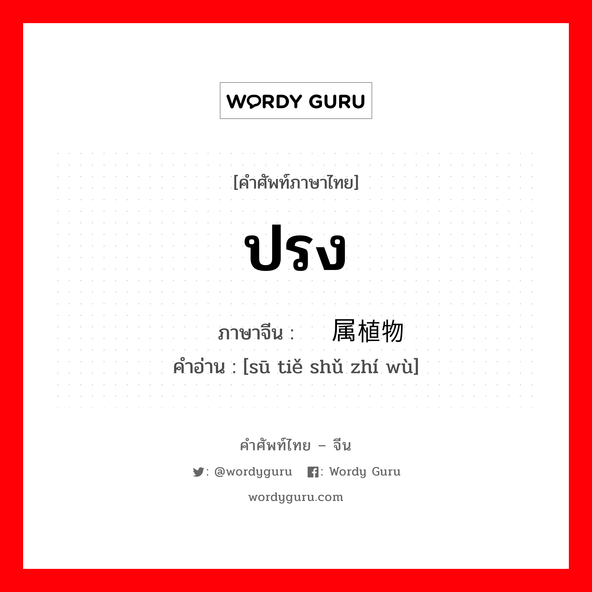 ปรง ภาษาจีนคืออะไร, คำศัพท์ภาษาไทย - จีน ปรง ภาษาจีน 苏铁属植物 คำอ่าน [sū tiě shǔ zhí wù]