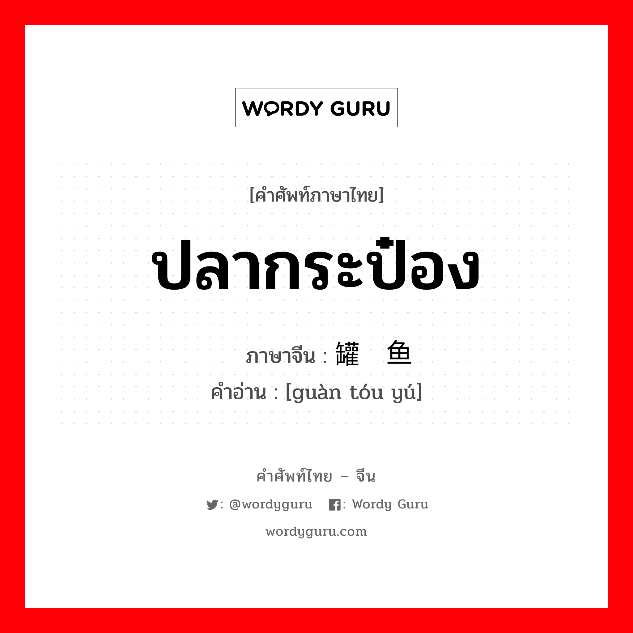 ปลากระป๋อง ภาษาจีนคืออะไร, คำศัพท์ภาษาไทย - จีน ปลากระป๋อง ภาษาจีน 罐头鱼 คำอ่าน [guàn tóu yú]