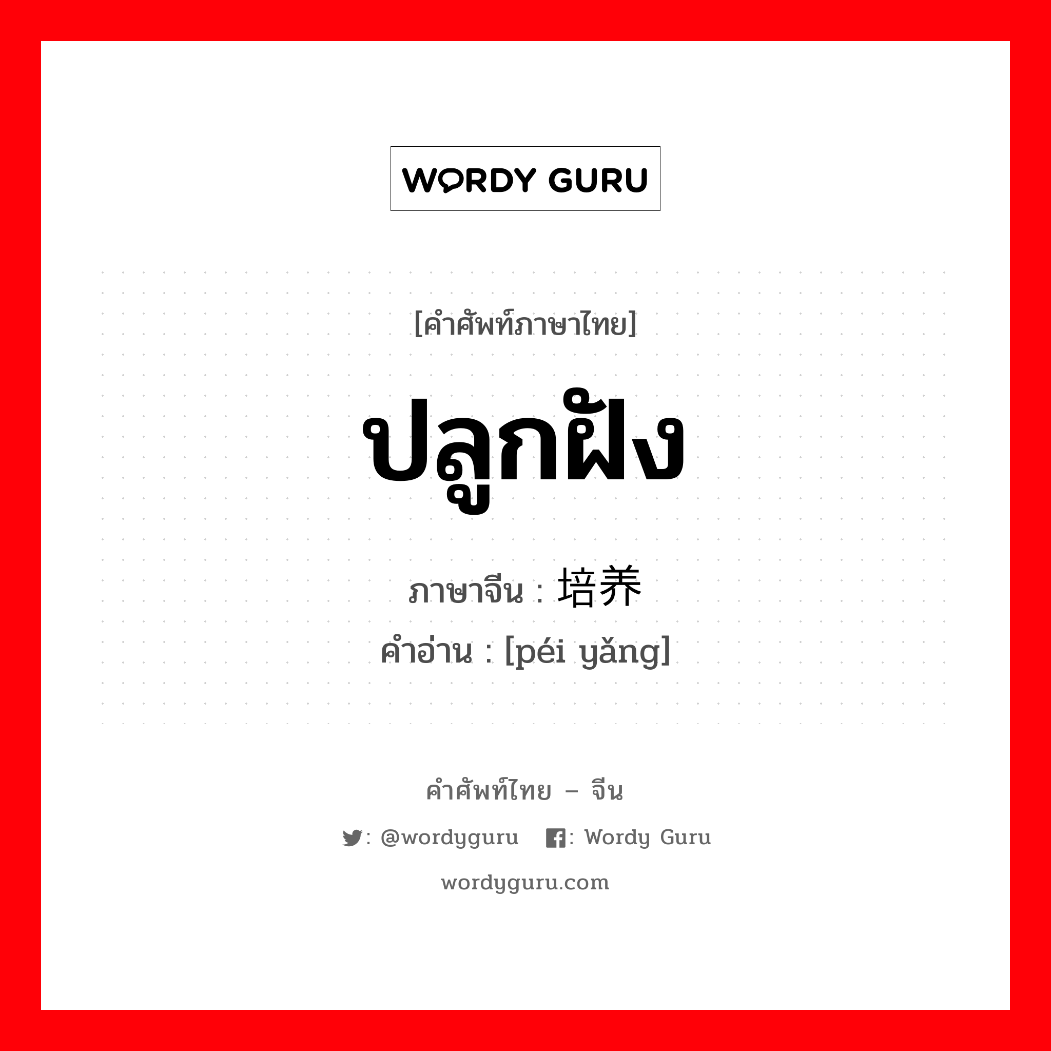 ปลูกฝัง ภาษาจีนคืออะไร, คำศัพท์ภาษาไทย - จีน ปลูกฝัง ภาษาจีน 培养 คำอ่าน [péi yǎng]