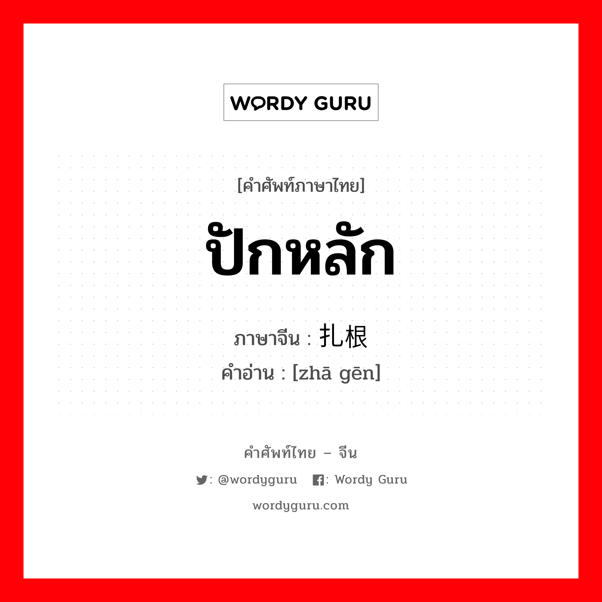 ปักหลัก ภาษาจีนคืออะไร, คำศัพท์ภาษาไทย - จีน ปักหลัก ภาษาจีน 扎根 คำอ่าน [zhā gēn]