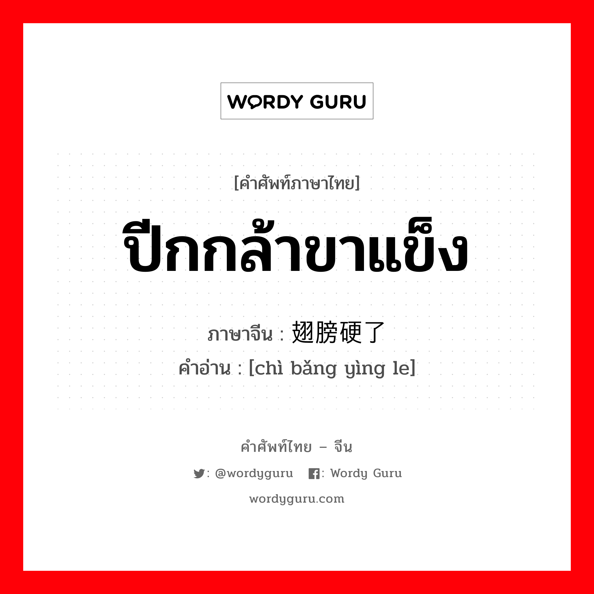 ปีกกล้าขาแข็ง ภาษาจีนคืออะไร, คำศัพท์ภาษาไทย - จีน ปีกกล้าขาแข็ง ภาษาจีน 翅膀硬了 คำอ่าน [chì bǎng yìng le]