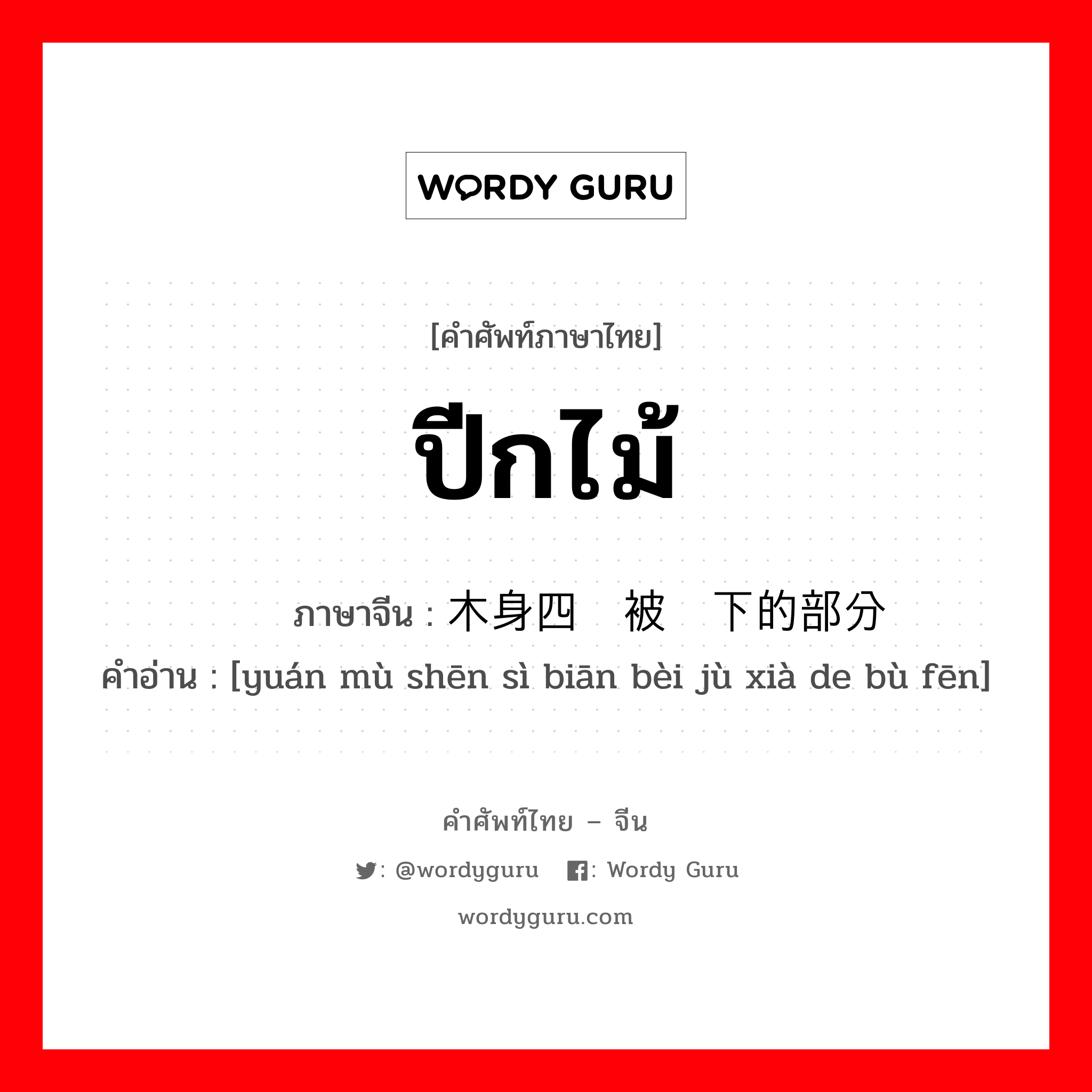 ปีกไม้ ภาษาจีนคืออะไร, คำศัพท์ภาษาไทย - จีน ปีกไม้ ภาษาจีน 圆木身四边被锯下的部分 คำอ่าน [yuán mù shēn sì biān bèi jù xià de bù fēn]