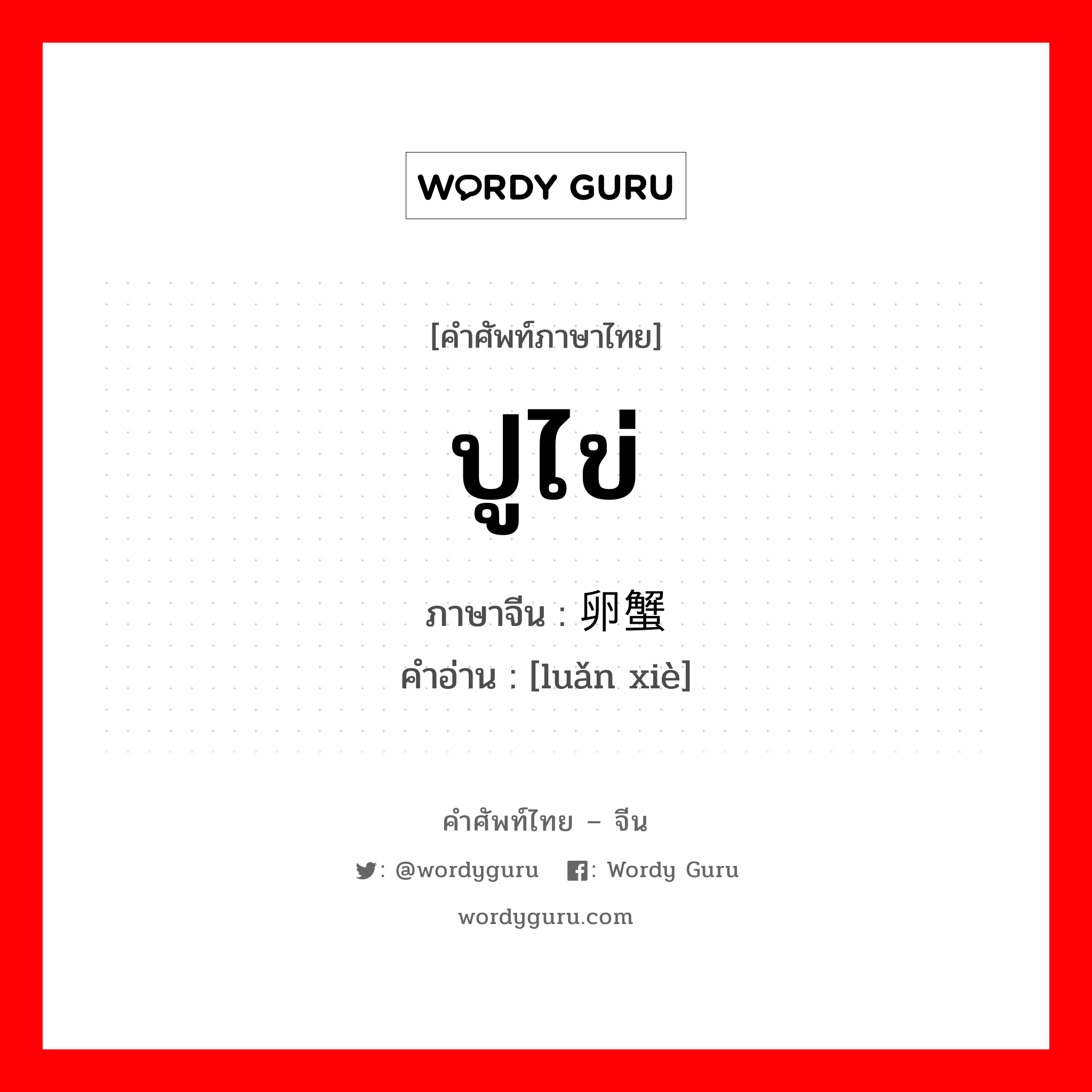 ปูไข่ ภาษาจีนคืออะไร, คำศัพท์ภาษาไทย - จีน ปูไข่ ภาษาจีน 卵蟹 คำอ่าน [luǎn xiè]