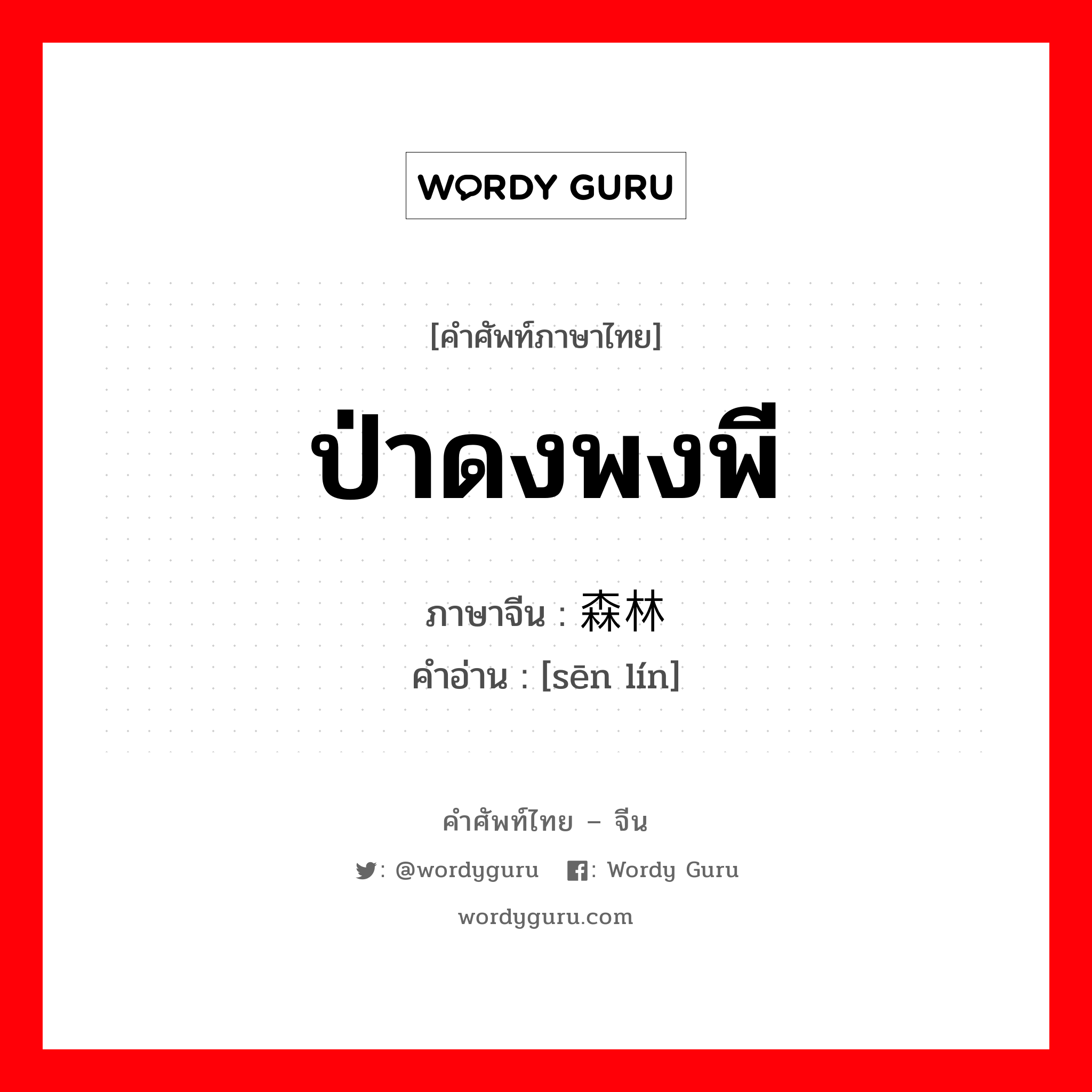 ป่าดงพงพี ภาษาจีนคืออะไร, คำศัพท์ภาษาไทย - จีน ป่าดงพงพี ภาษาจีน 森林 คำอ่าน [sēn lín]