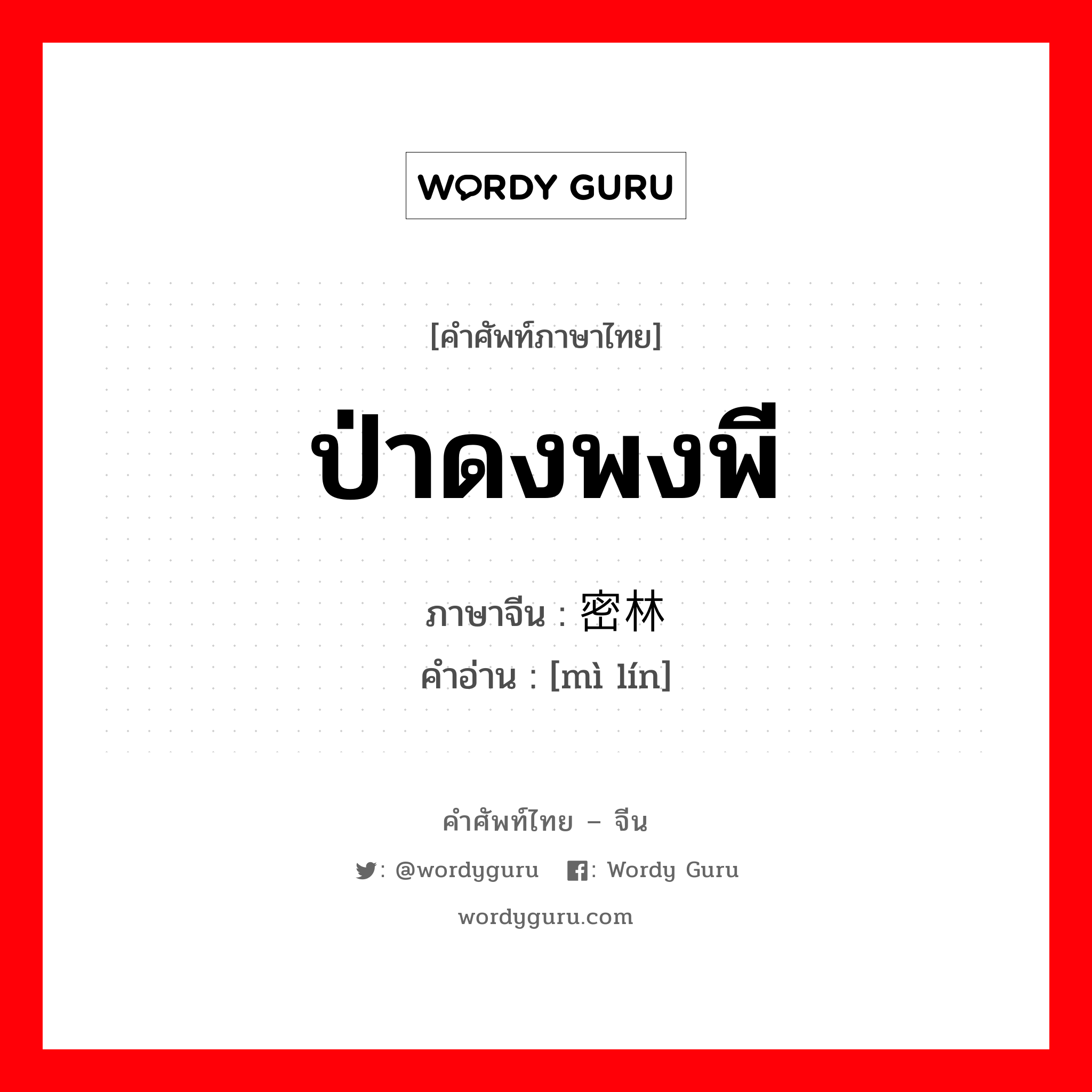 ป่าดงพงพี ภาษาจีนคืออะไร, คำศัพท์ภาษาไทย - จีน ป่าดงพงพี ภาษาจีน 密林 คำอ่าน [mì lín]