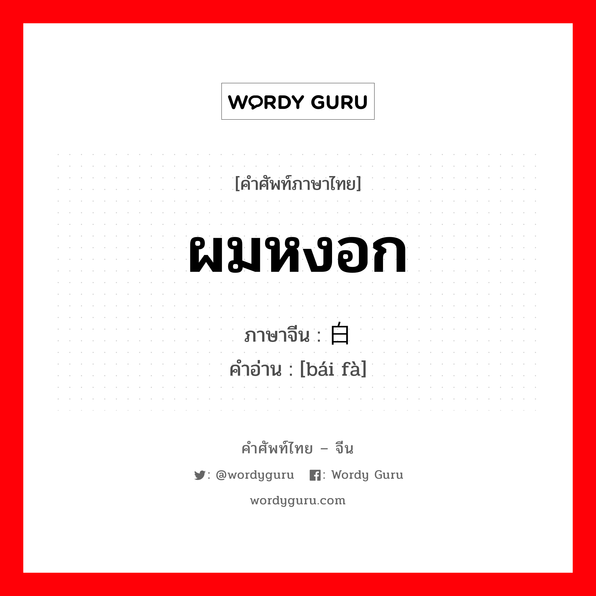 ผมหงอก ภาษาจีนคืออะไร, คำศัพท์ภาษาไทย - จีน ผมหงอก ภาษาจีน 白发 คำอ่าน [bái fà]