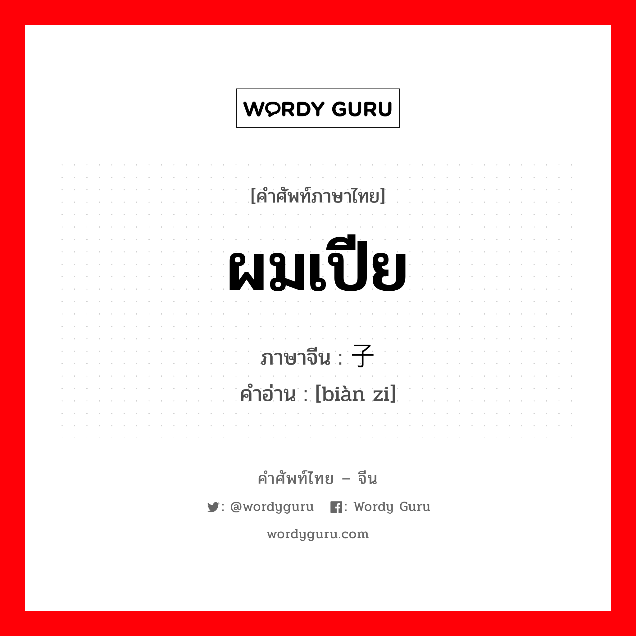 ผมเปีย ภาษาจีนคืออะไร, คำศัพท์ภาษาไทย - จีน ผมเปีย ภาษาจีน 辫子 คำอ่าน [biàn zi]