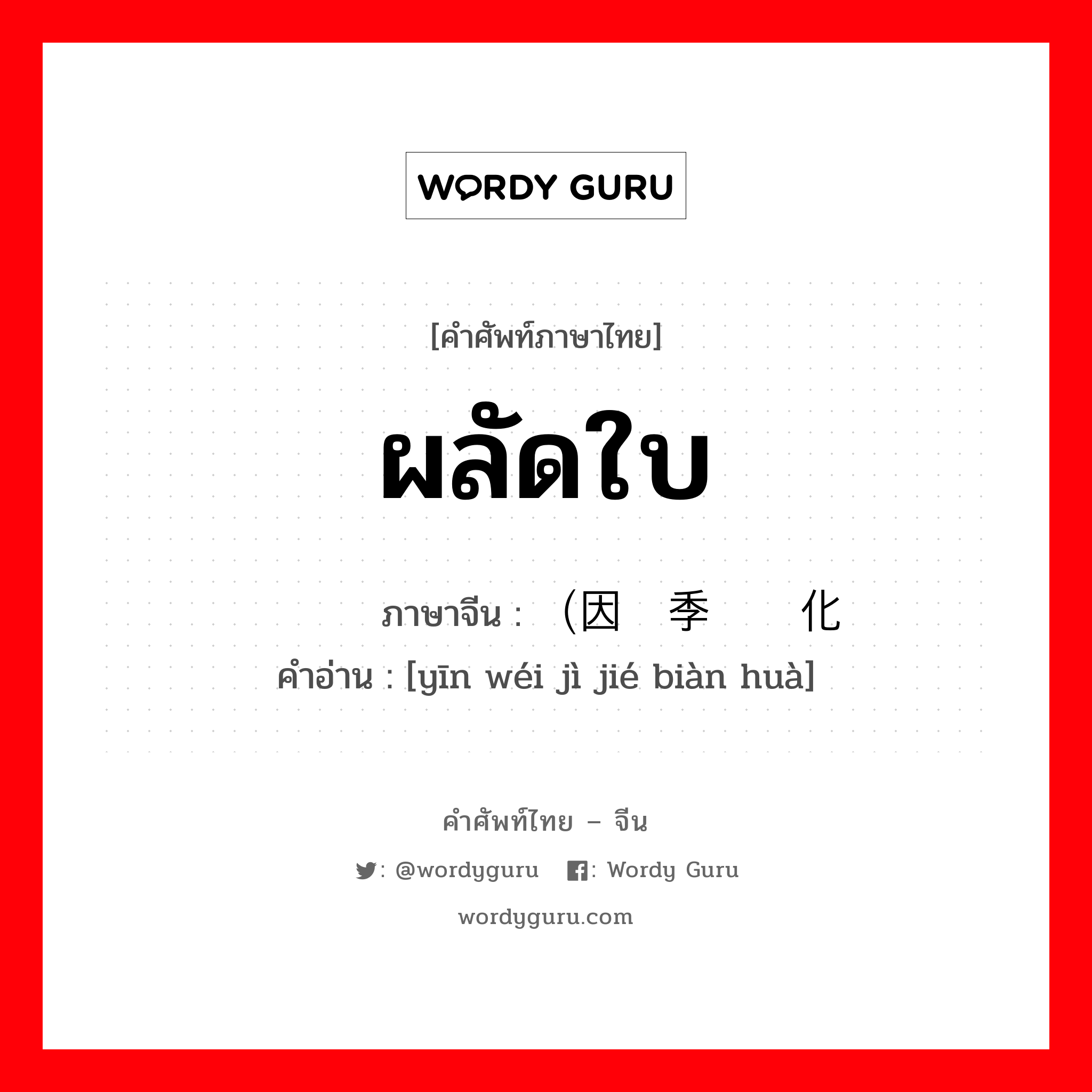 ผลัดใบ ภาษาจีนคืออะไร, คำศัพท์ภาษาไทย - จีน ผลัดใบ ภาษาจีน （因为季节变化 คำอ่าน [yīn wéi jì jié biàn huà]