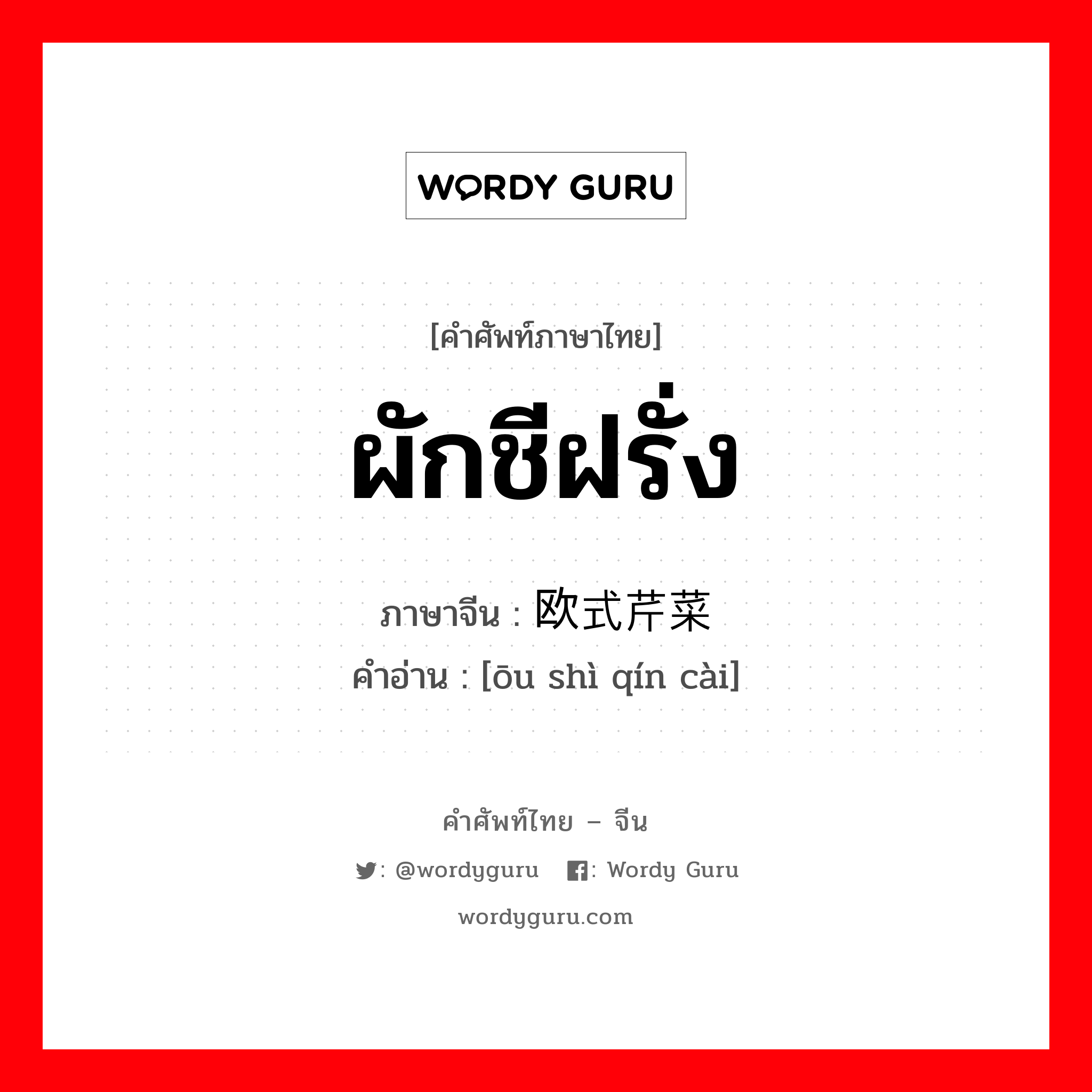 ผักชีฝรั่ง ภาษาจีนคืออะไร, คำศัพท์ภาษาไทย - จีน ผักชีฝรั่ง ภาษาจีน 欧式芹菜 คำอ่าน [ōu shì qín cài]