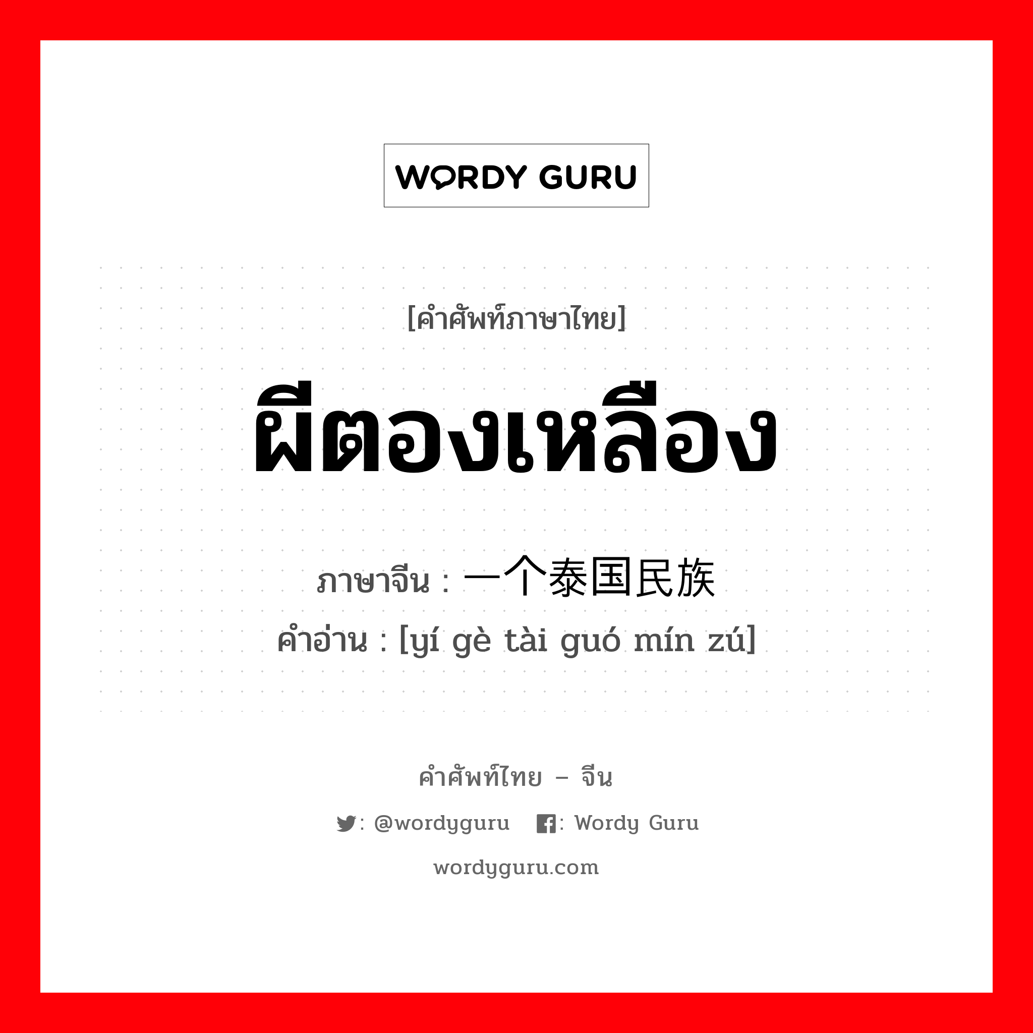 ผีตองเหลือง ภาษาจีนคืออะไร, คำศัพท์ภาษาไทย - จีน ผีตองเหลือง ภาษาจีน 一个泰国民族 คำอ่าน [yí gè tài guó mín zú]