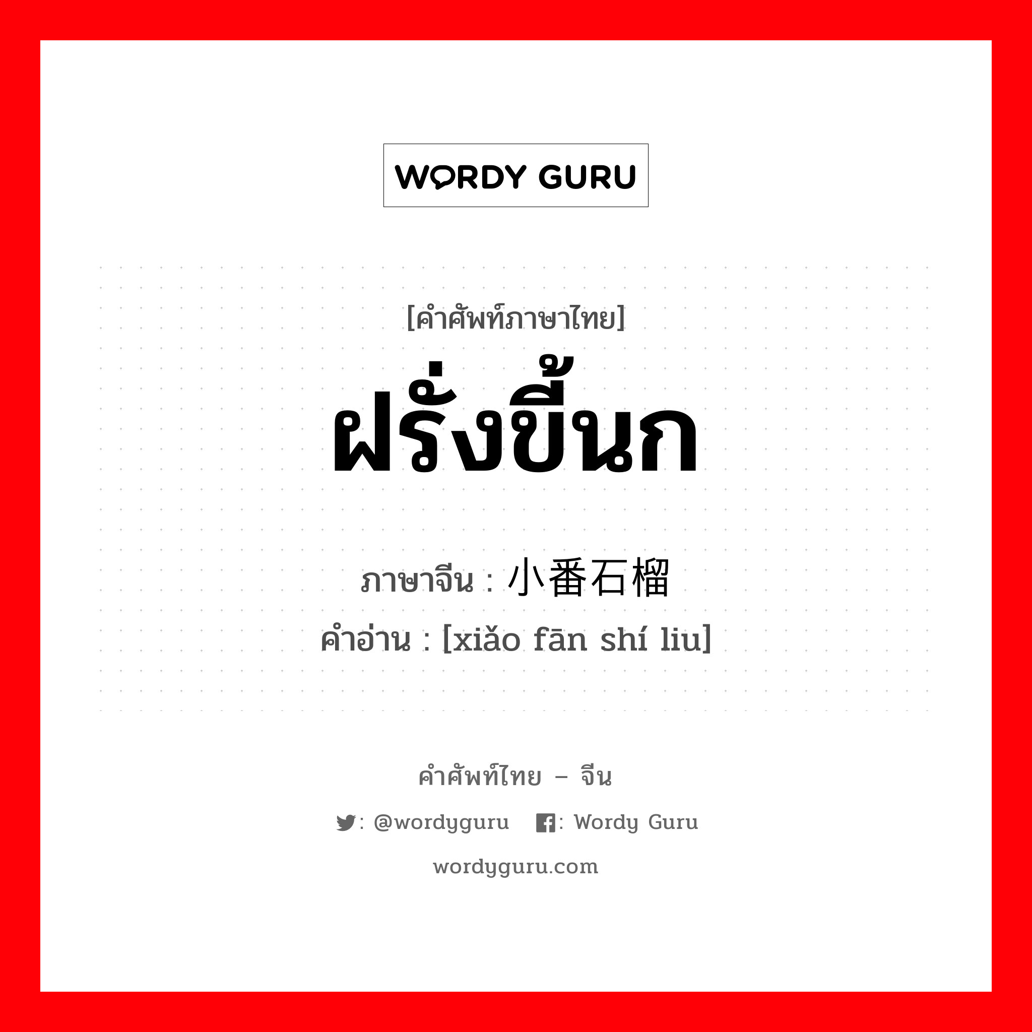 ฝรั่งขี้นก ภาษาจีนคืออะไร, คำศัพท์ภาษาไทย - จีน ฝรั่งขี้นก ภาษาจีน 小番石榴 คำอ่าน [xiǎo fān shí liu]