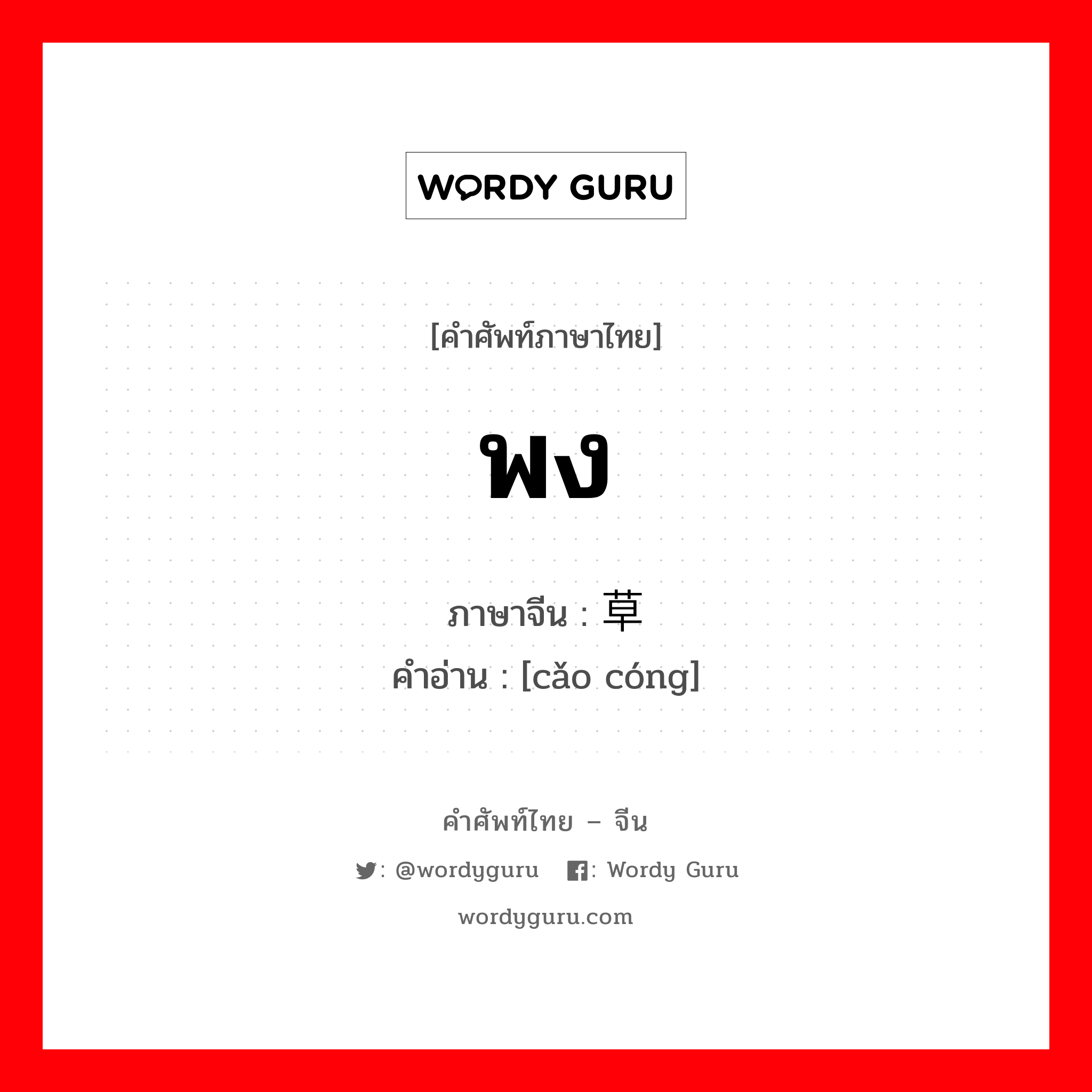 พง ภาษาจีนคืออะไร, คำศัพท์ภาษาไทย - จีน พง ภาษาจีน 草丛 คำอ่าน [cǎo cóng]