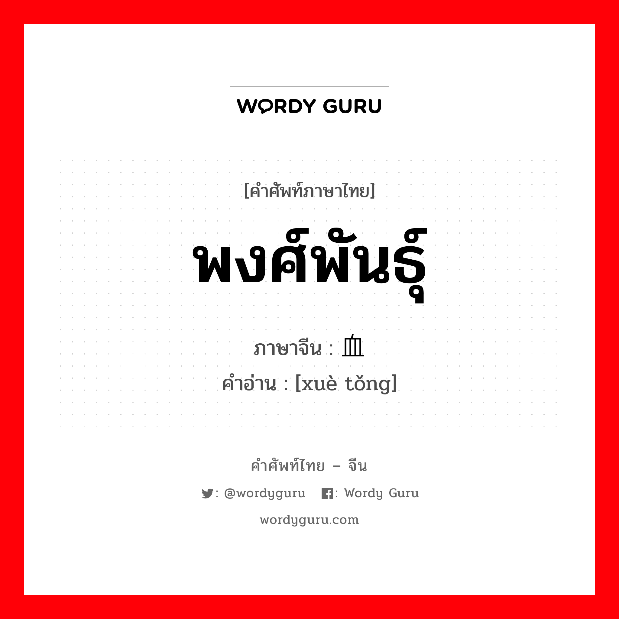 พงศ์พันธุ์ ภาษาจีนคืออะไร, คำศัพท์ภาษาไทย - จีน พงศ์พันธุ์ ภาษาจีน 血统 คำอ่าน [xuè tǒng]