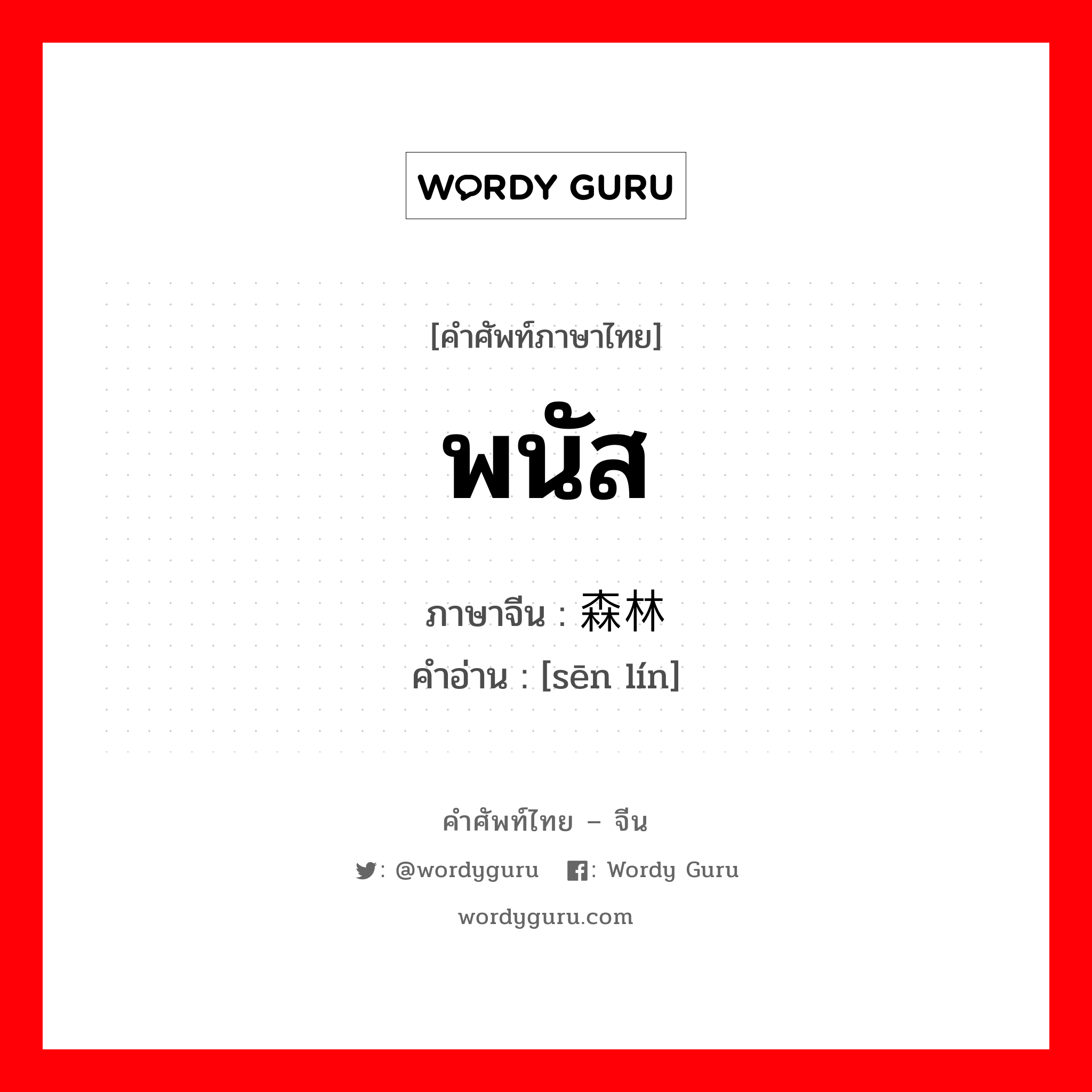 พนัส ภาษาจีนคืออะไร, คำศัพท์ภาษาไทย - จีน พนัส ภาษาจีน 森林 คำอ่าน [sēn lín]