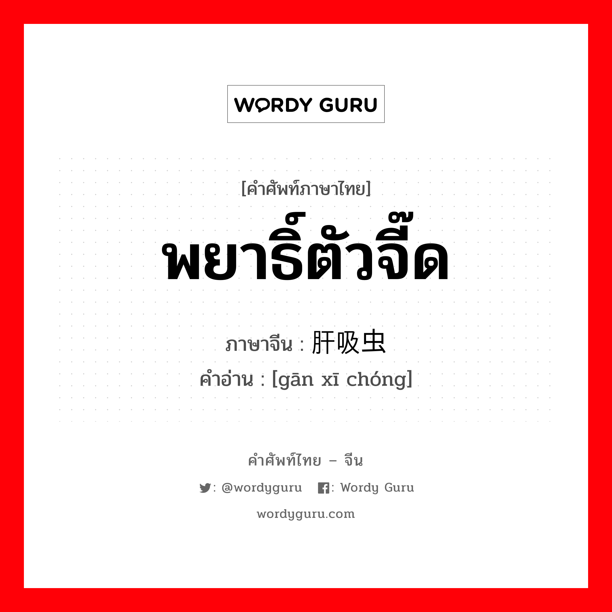 พยาธิ์ตัวจี๊ด ภาษาจีนคืออะไร, คำศัพท์ภาษาไทย - จีน พยาธิ์ตัวจี๊ด ภาษาจีน 肝吸虫 คำอ่าน [gān xī chóng]