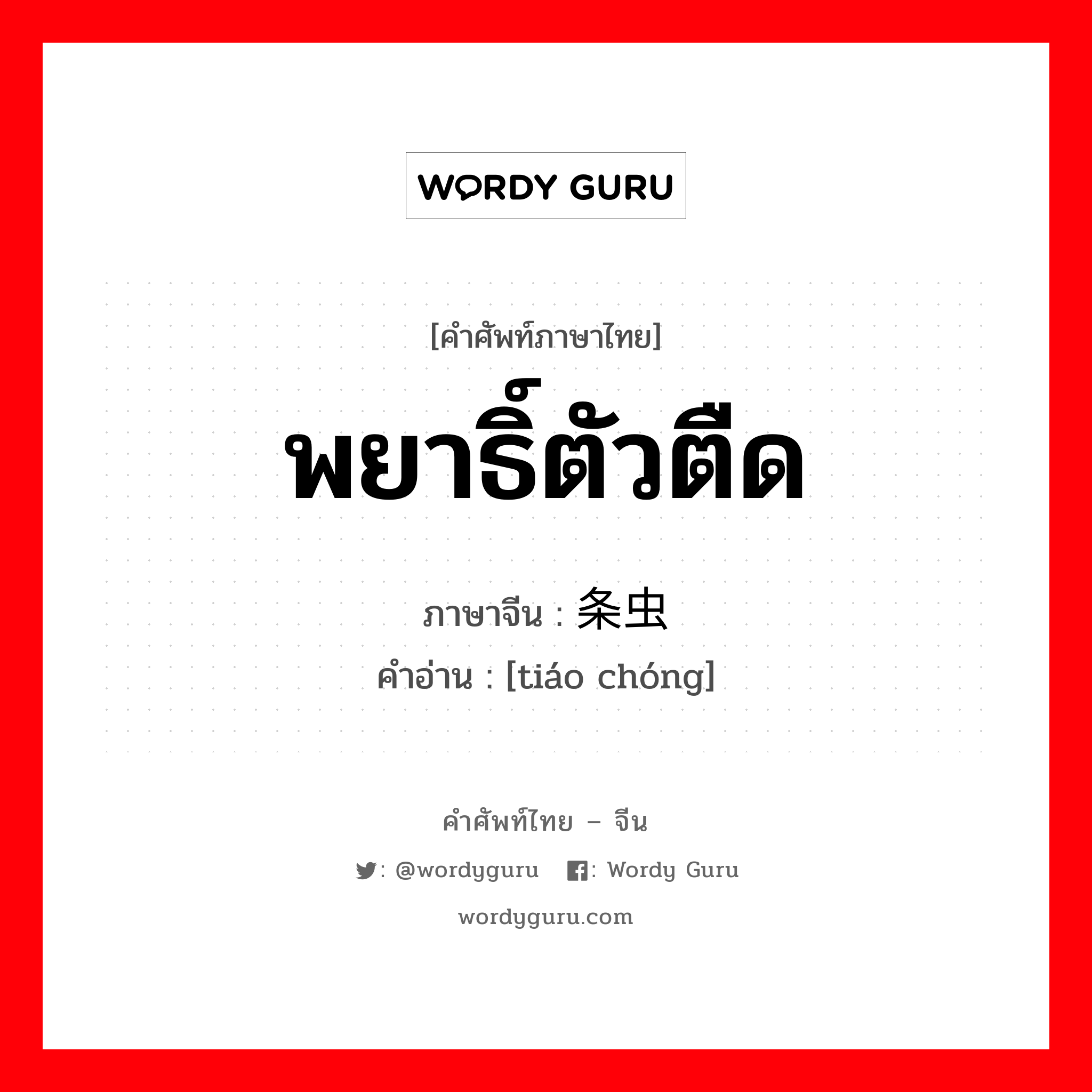 พยาธิ์ตัวตืด ภาษาจีนคืออะไร, คำศัพท์ภาษาไทย - จีน พยาธิ์ตัวตืด ภาษาจีน 条虫 คำอ่าน [tiáo chóng]