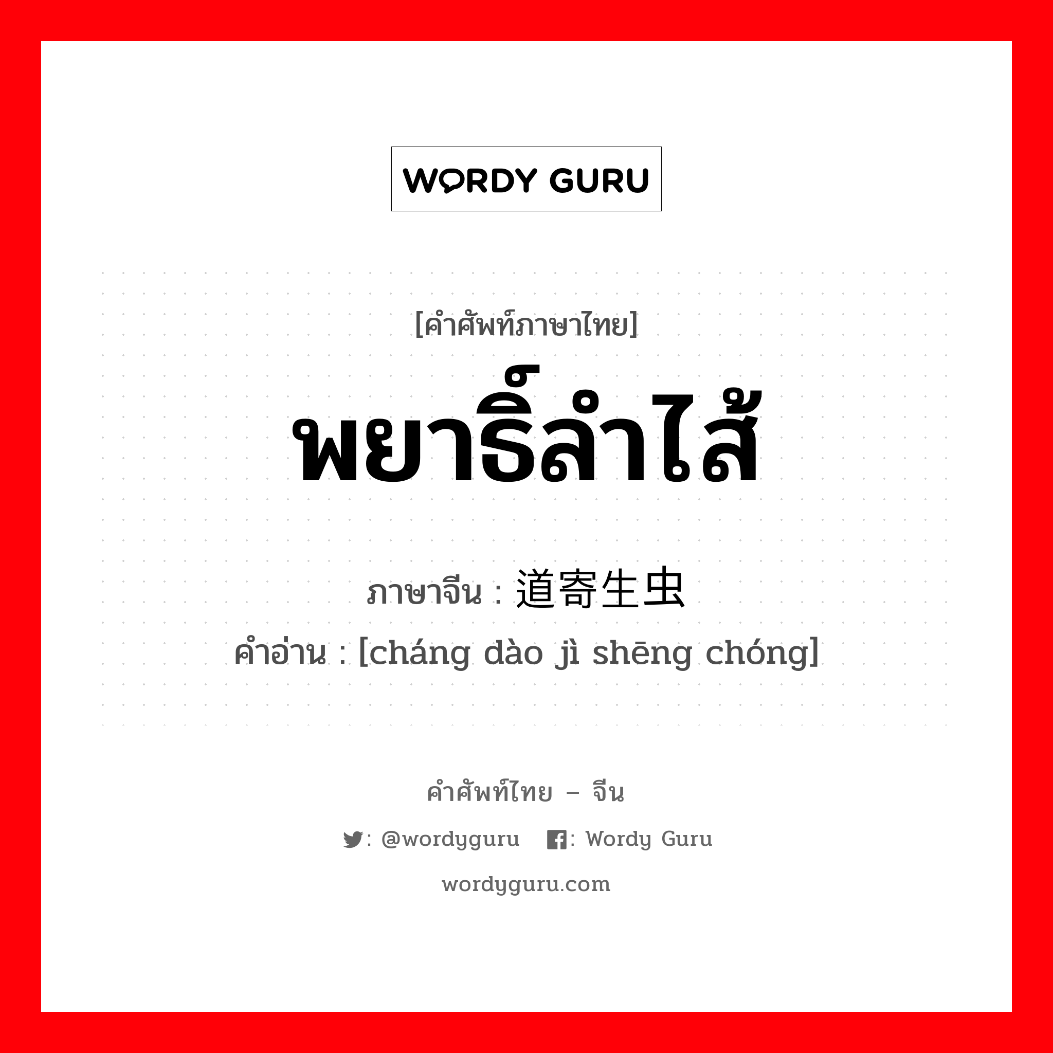 พยาธิ์ลำไส้ ภาษาจีนคืออะไร, คำศัพท์ภาษาไทย - จีน พยาธิ์ลำไส้ ภาษาจีน 肠道寄生虫 คำอ่าน [cháng dào jì shēng chóng]