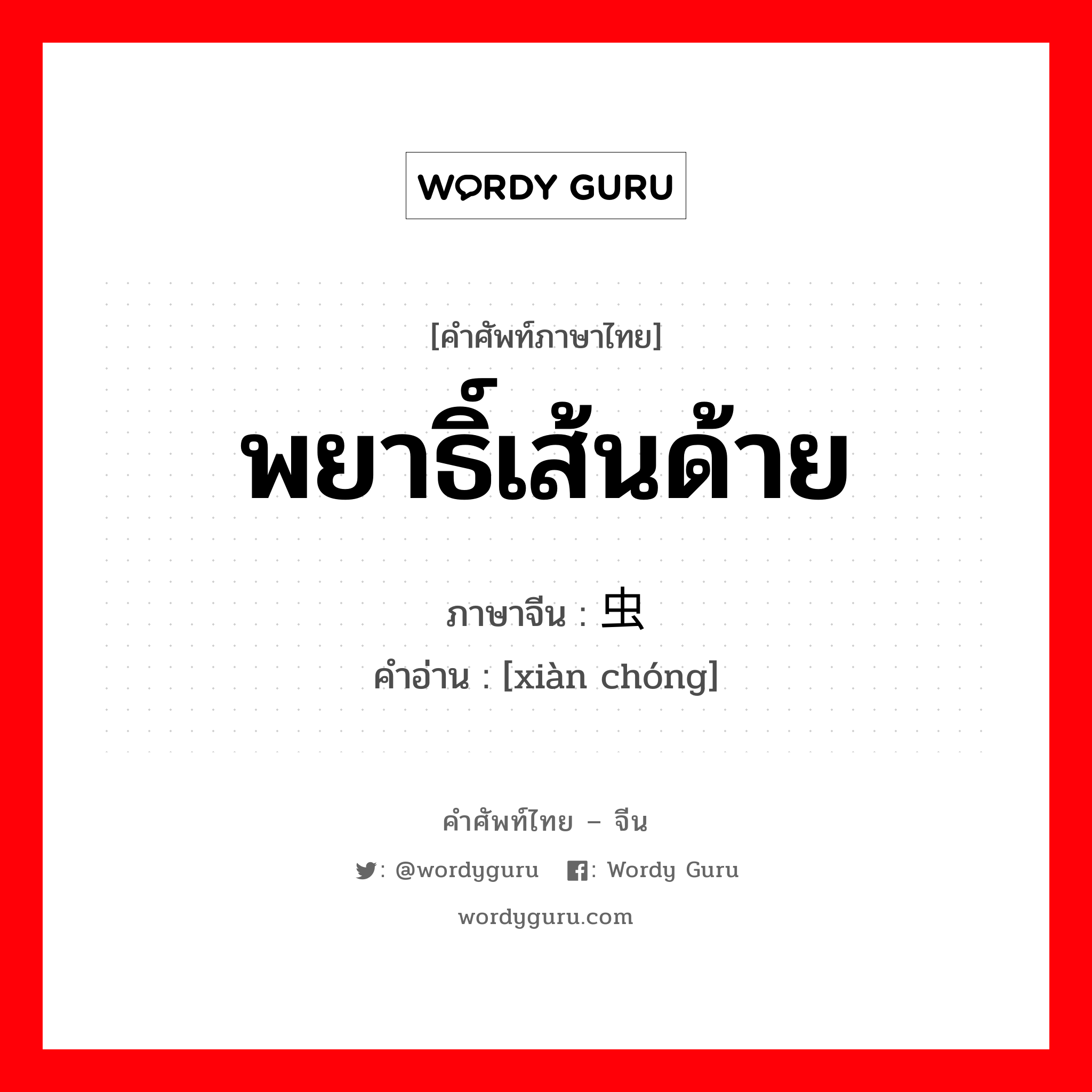 พยาธิ์เส้นด้าย ภาษาจีนคืออะไร, คำศัพท์ภาษาไทย - จีน พยาธิ์เส้นด้าย ภาษาจีน 线虫 คำอ่าน [xiàn chóng]