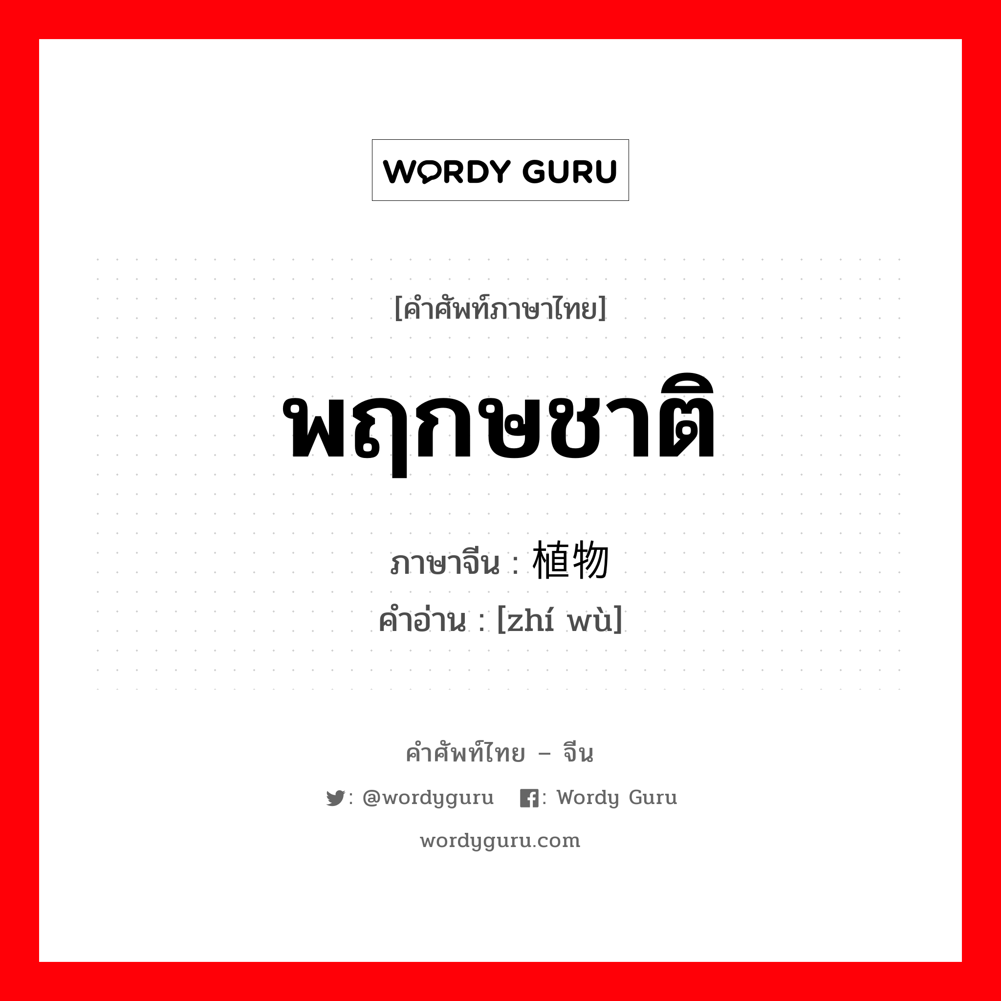 พฤกษชาติ ภาษาจีนคืออะไร, คำศัพท์ภาษาไทย - จีน พฤกษชาติ ภาษาจีน 植物 คำอ่าน [zhí wù]