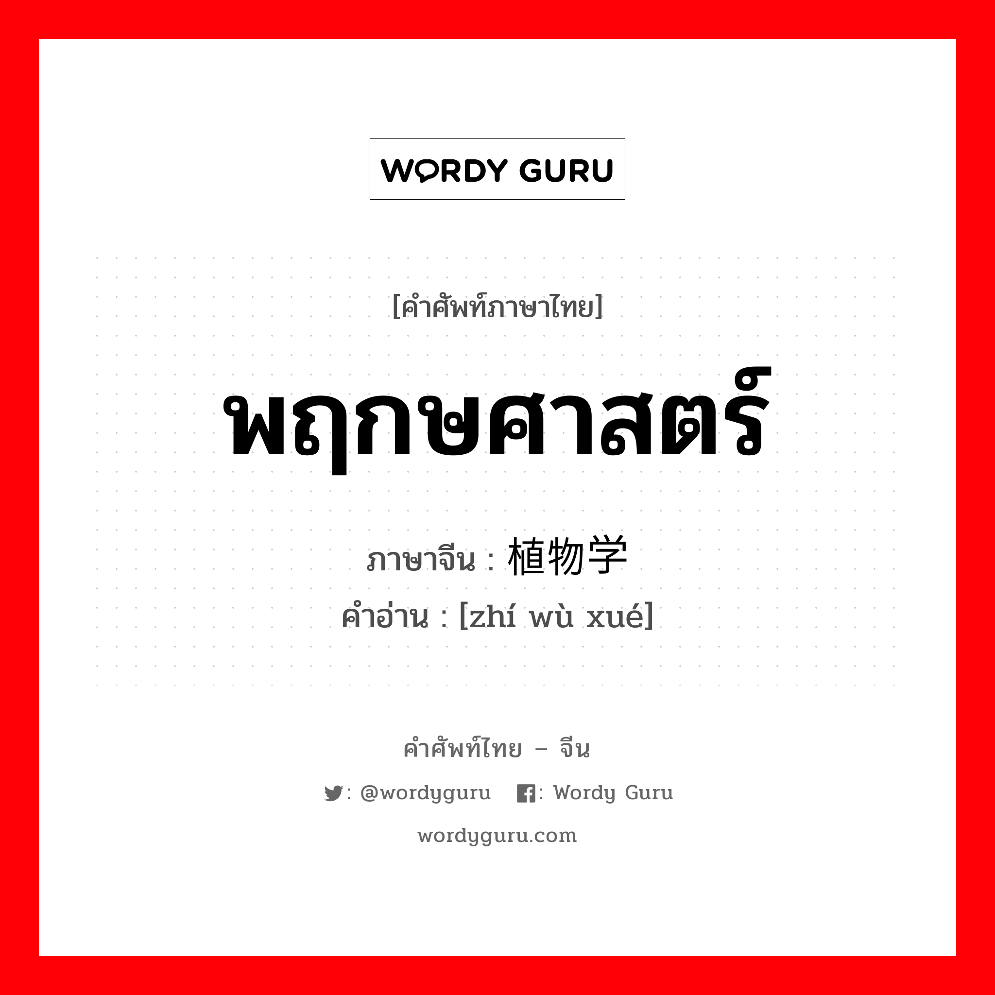 พฤกษศาสตร์ ภาษาจีนคืออะไร, คำศัพท์ภาษาไทย - จีน พฤกษศาสตร์ ภาษาจีน 植物学 คำอ่าน [zhí wù xué]