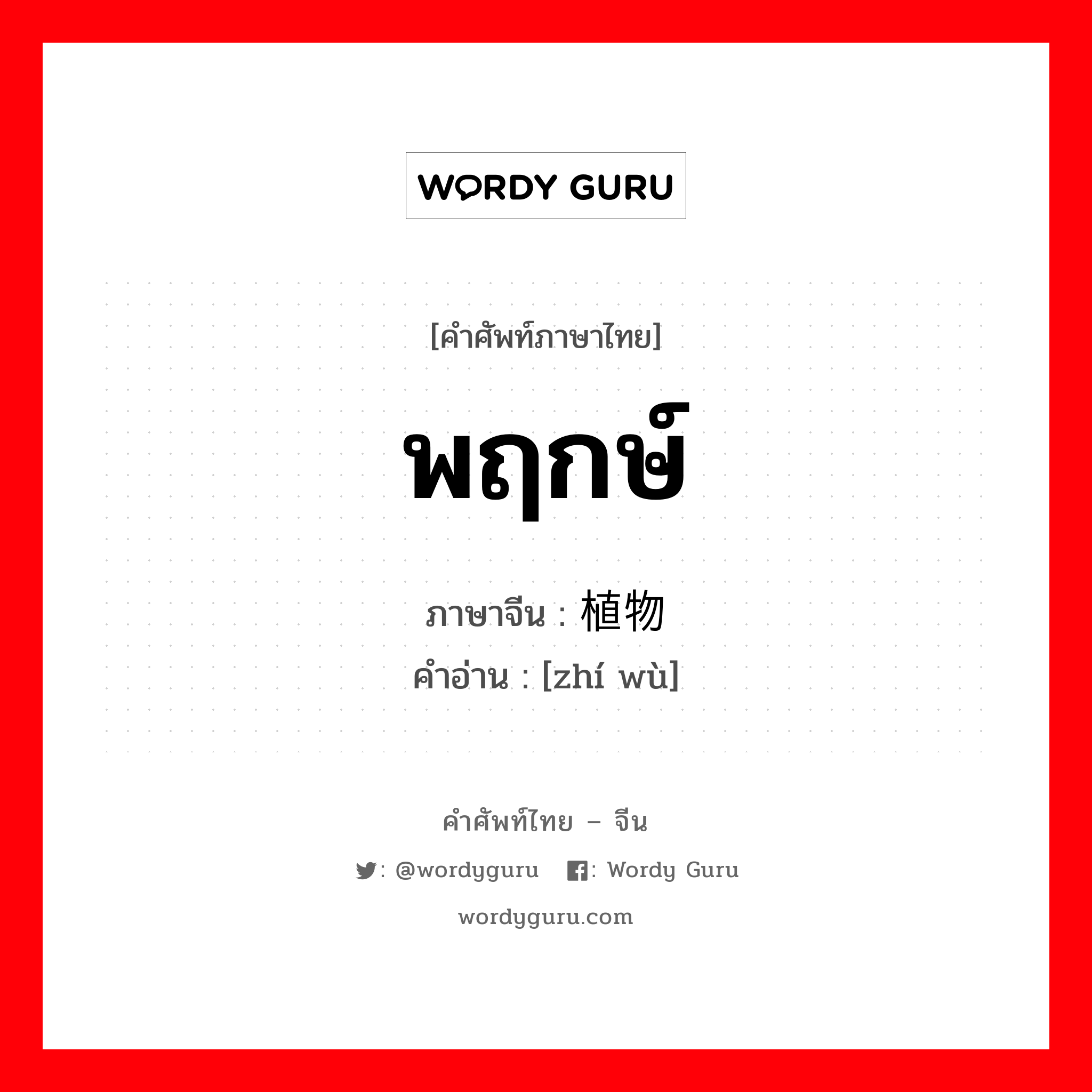 พฤกษ์ ภาษาจีนคืออะไร, คำศัพท์ภาษาไทย - จีน พฤกษ์ ภาษาจีน 植物 คำอ่าน [zhí wù]