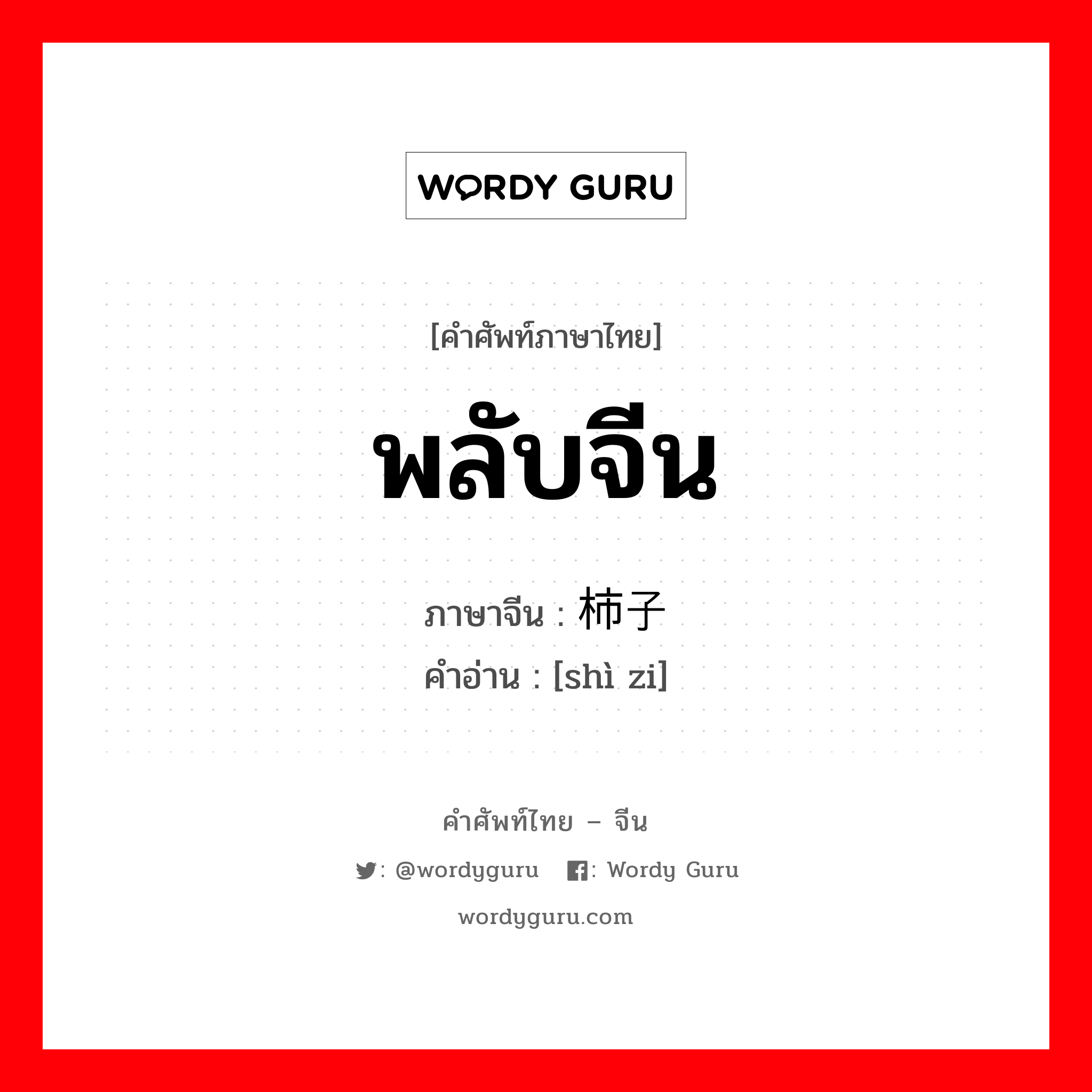 พลับจีน ภาษาจีนคืออะไร, คำศัพท์ภาษาไทย - จีน พลับจีน ภาษาจีน 柿子 คำอ่าน [shì zi]