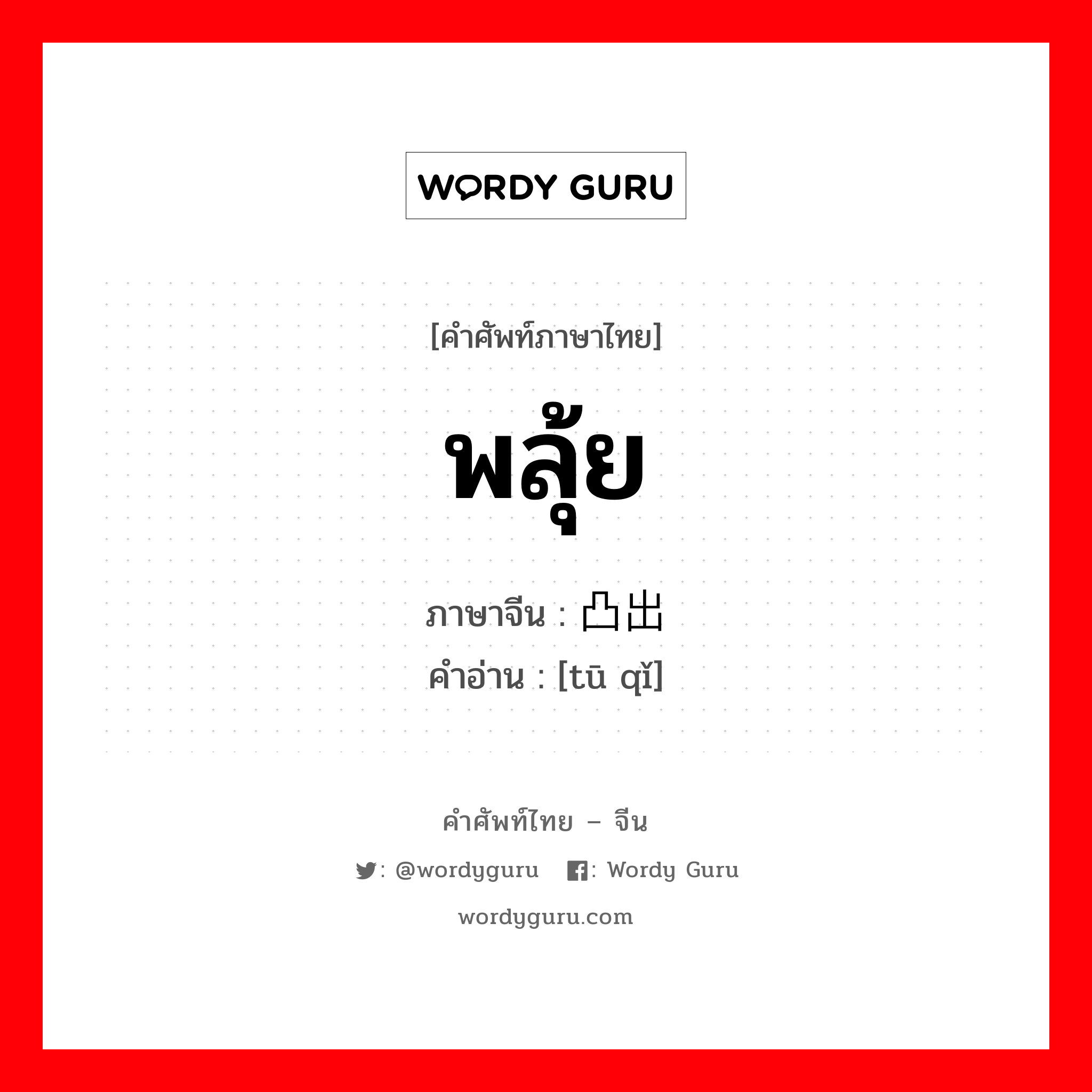 พลุ้ย ภาษาจีนคืออะไร, คำศัพท์ภาษาไทย - จีน พลุ้ย ภาษาจีน 凸出 คำอ่าน [tū qǐ]