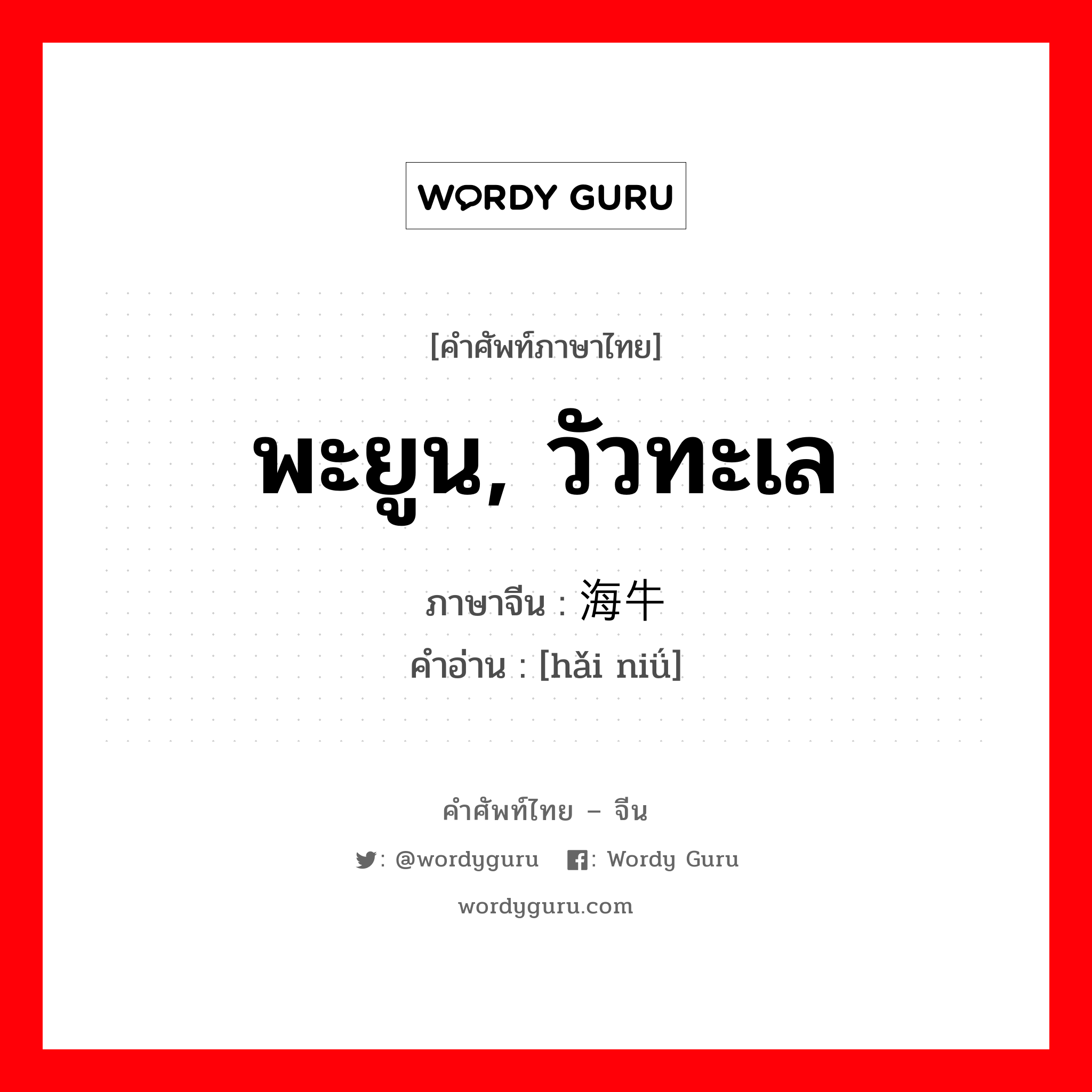 พะยูน, วัวทะเล ภาษาจีนคืออะไร, คำศัพท์ภาษาไทย - จีน พะยูน, วัวทะเล ภาษาจีน 海牛 คำอ่าน [hǎi niǘ]