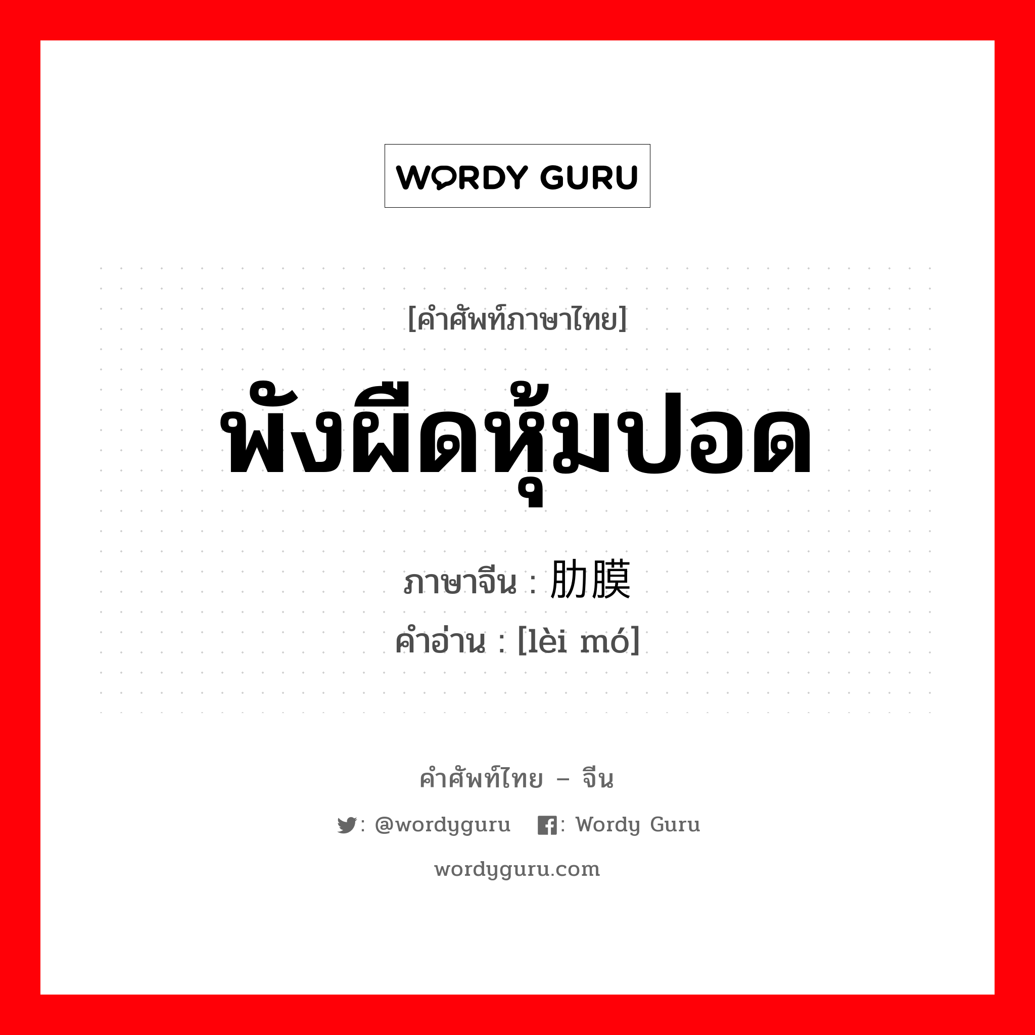 พังผืดหุ้มปอด ภาษาจีนคืออะไร, คำศัพท์ภาษาไทย - จีน พังผืดหุ้มปอด ภาษาจีน 肋膜 คำอ่าน [lèi mó]